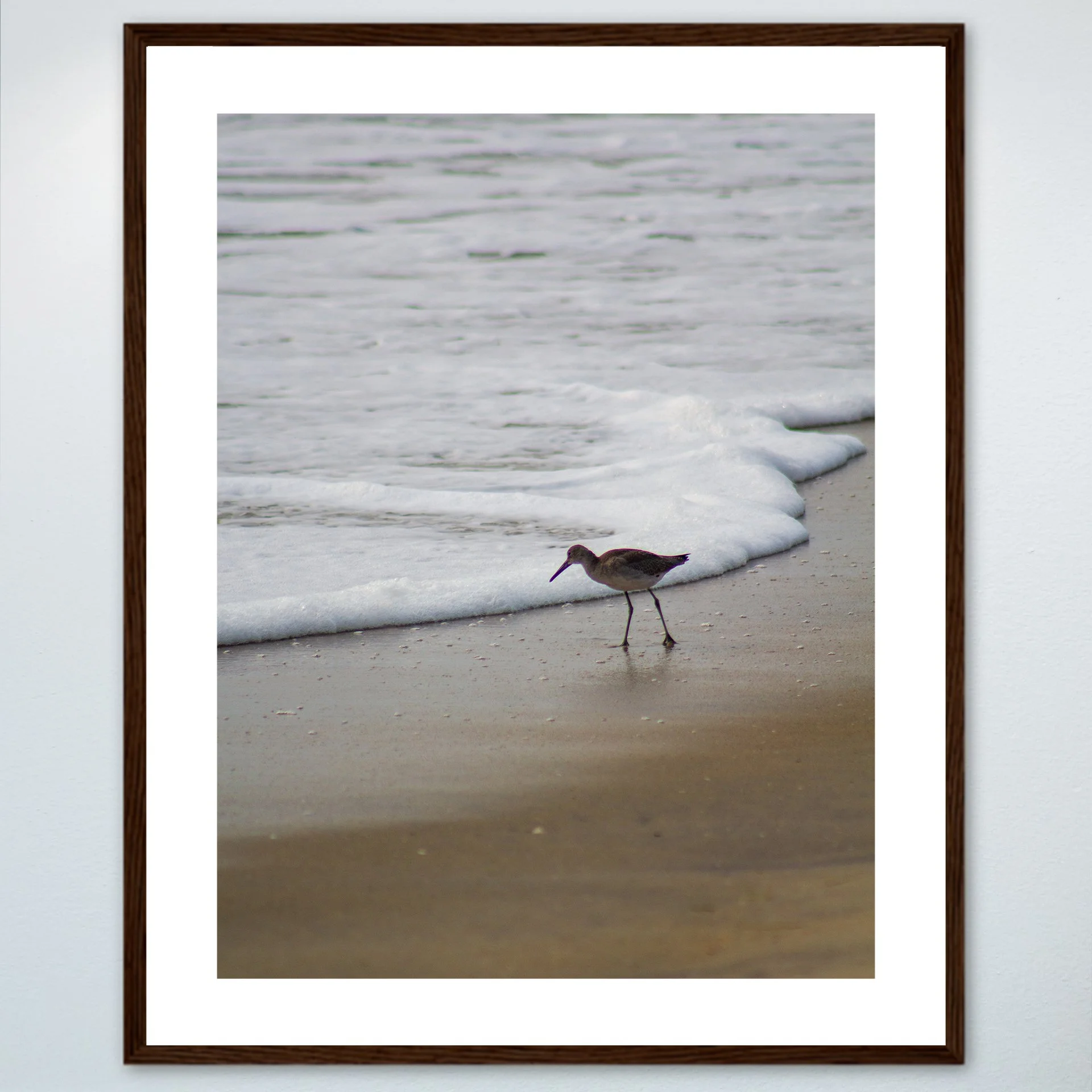 1:10 Willet at Beach Searching- Wood w: Border.jpg