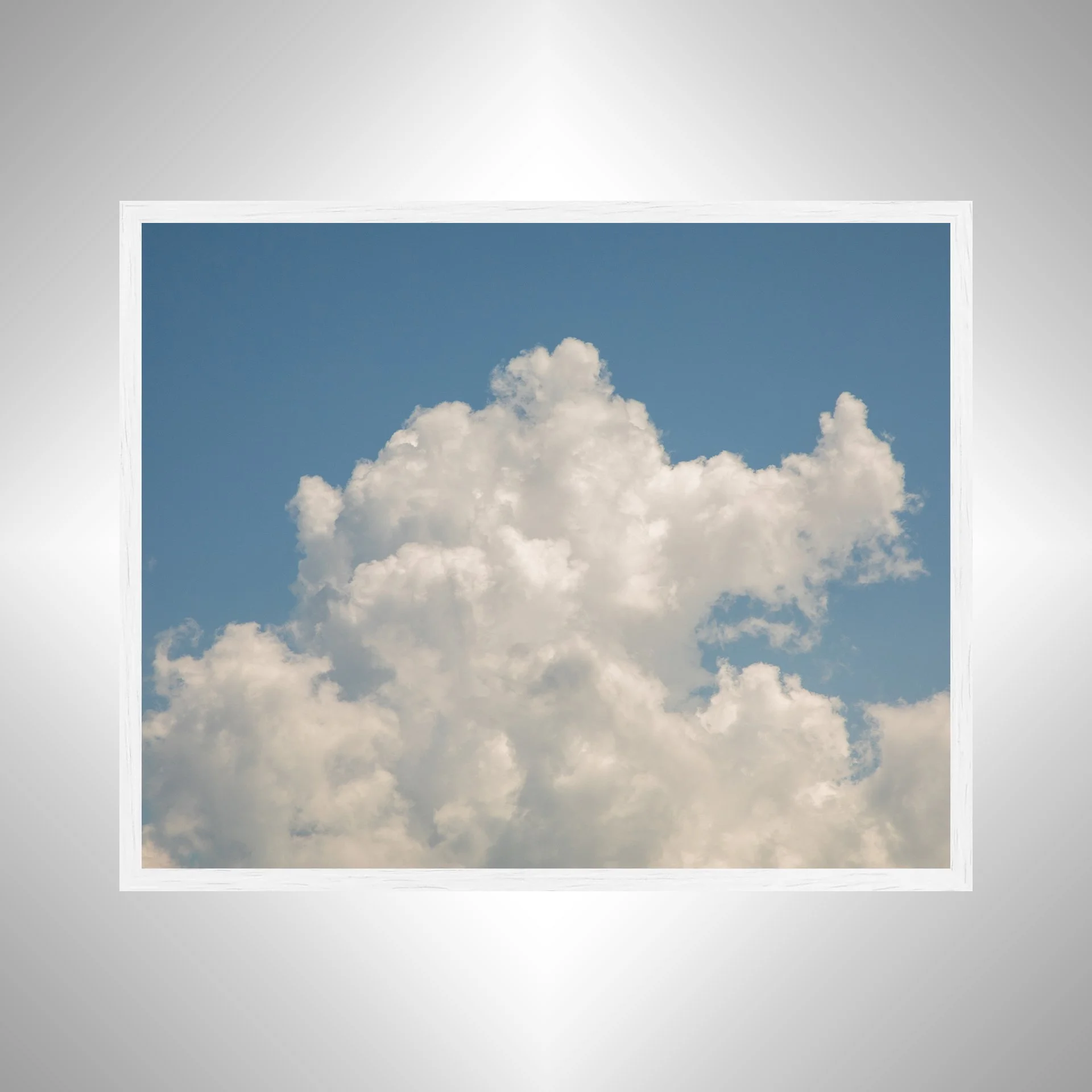 1:10 Natural Mushroom Cloud- WHITE.jpg