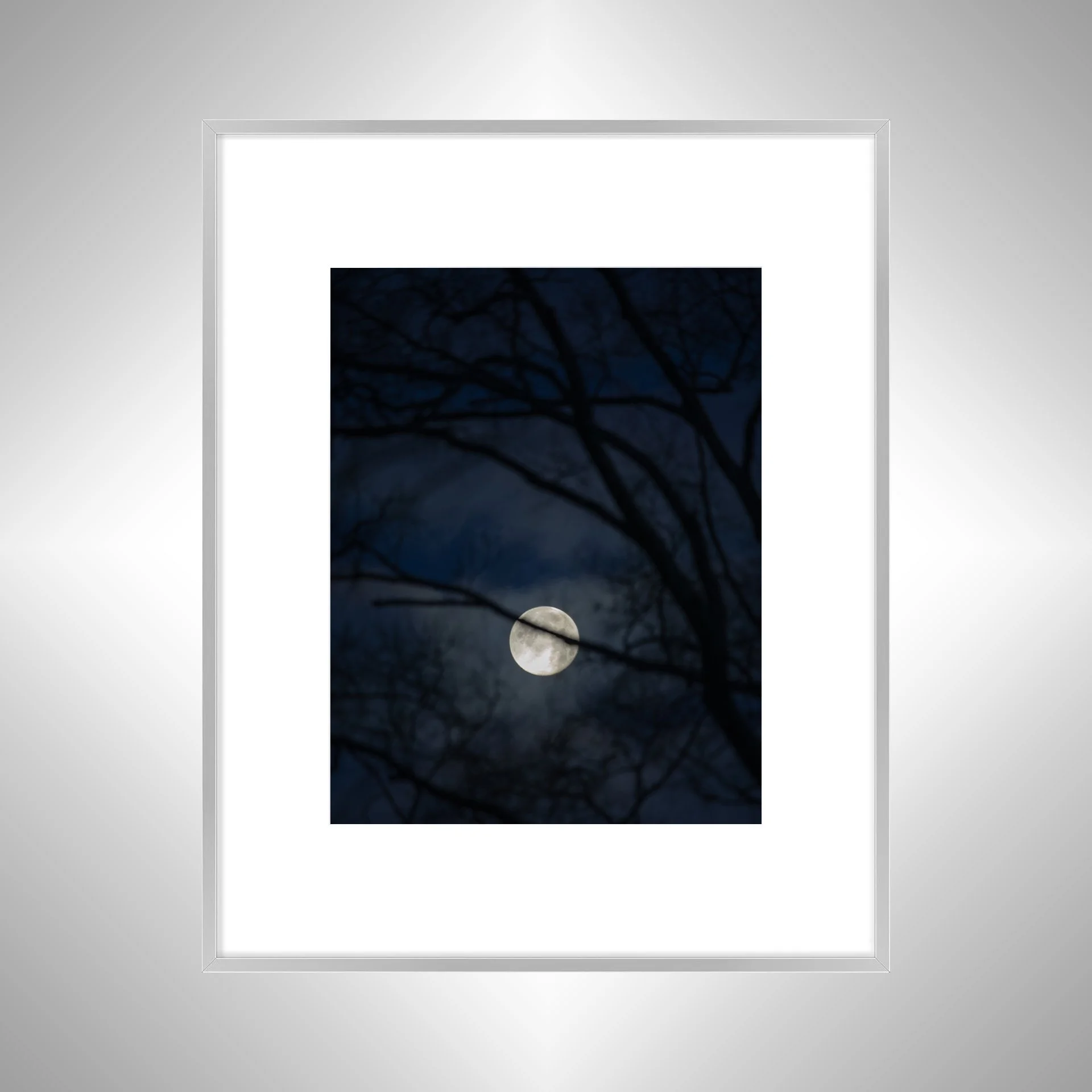 1:10 Moon thru Tree Branches- Silver w: Border.jpg