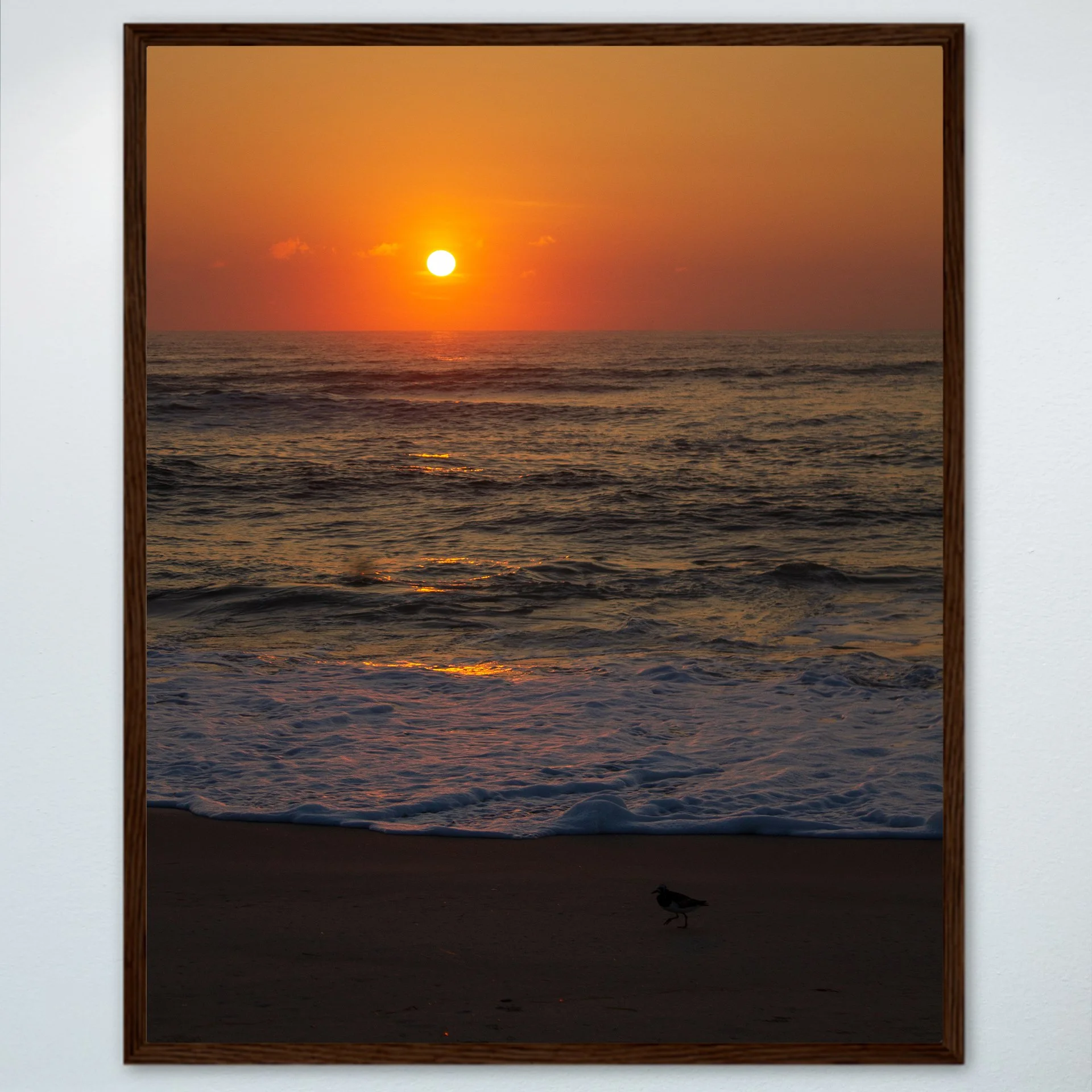 1:1 Sanderling at Sunrise- Wood.jpg