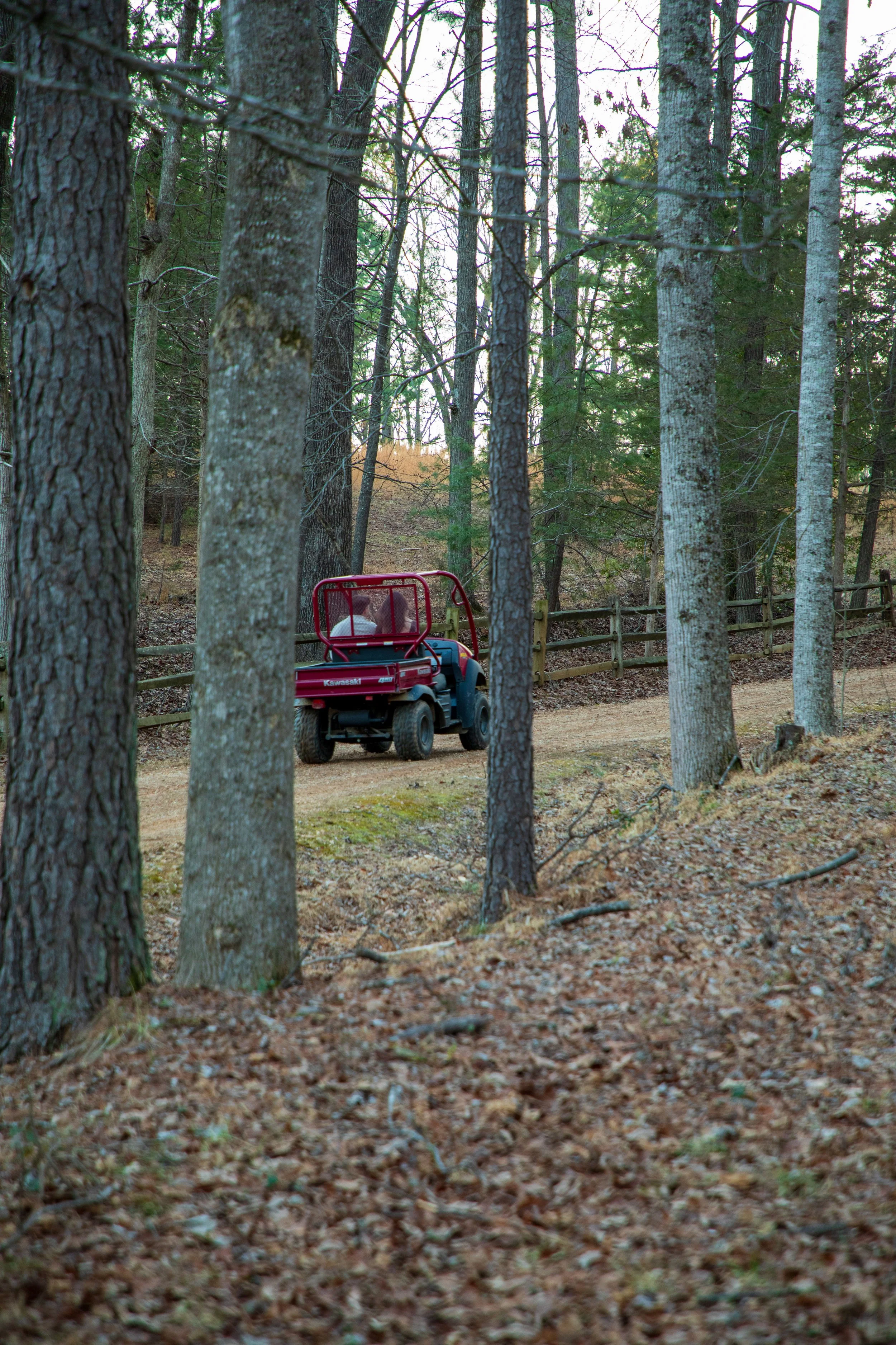 Engagement Photography by Will Locke near Richmond, VA in Montpelier. A newly engaged couple riding a red Kawasaki Mule utility vehicle away down a dirt road lined by trees.
