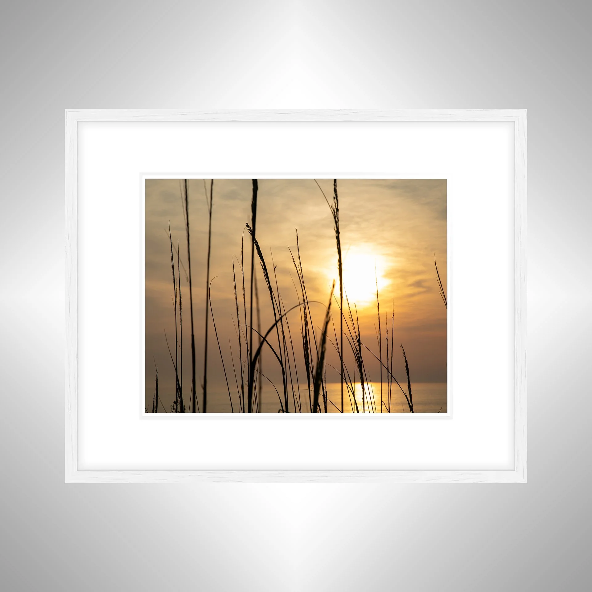 1:1 Sunny Morning thru Dunegrass- White w: Border.jpg