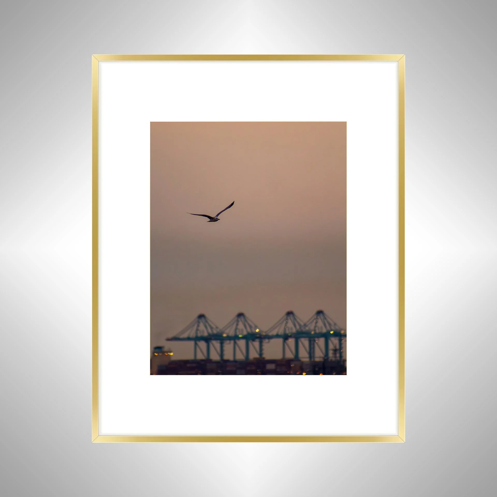 1:1 Seagull with Terminal Cranes- Gold w: Border.jpg