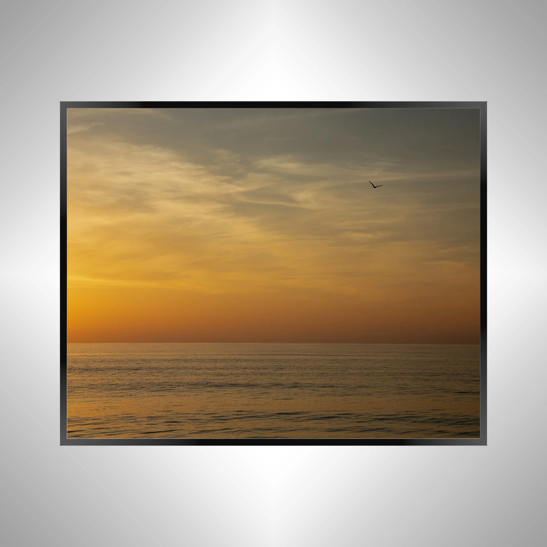 1/1 Orange Sunrise with Seagull in Duck, NC