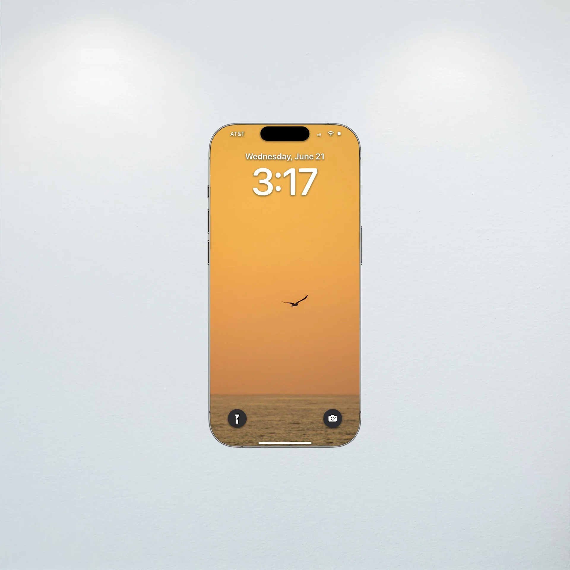 1:10 Seagull Flying on Ocean- Wallpaper.jpg