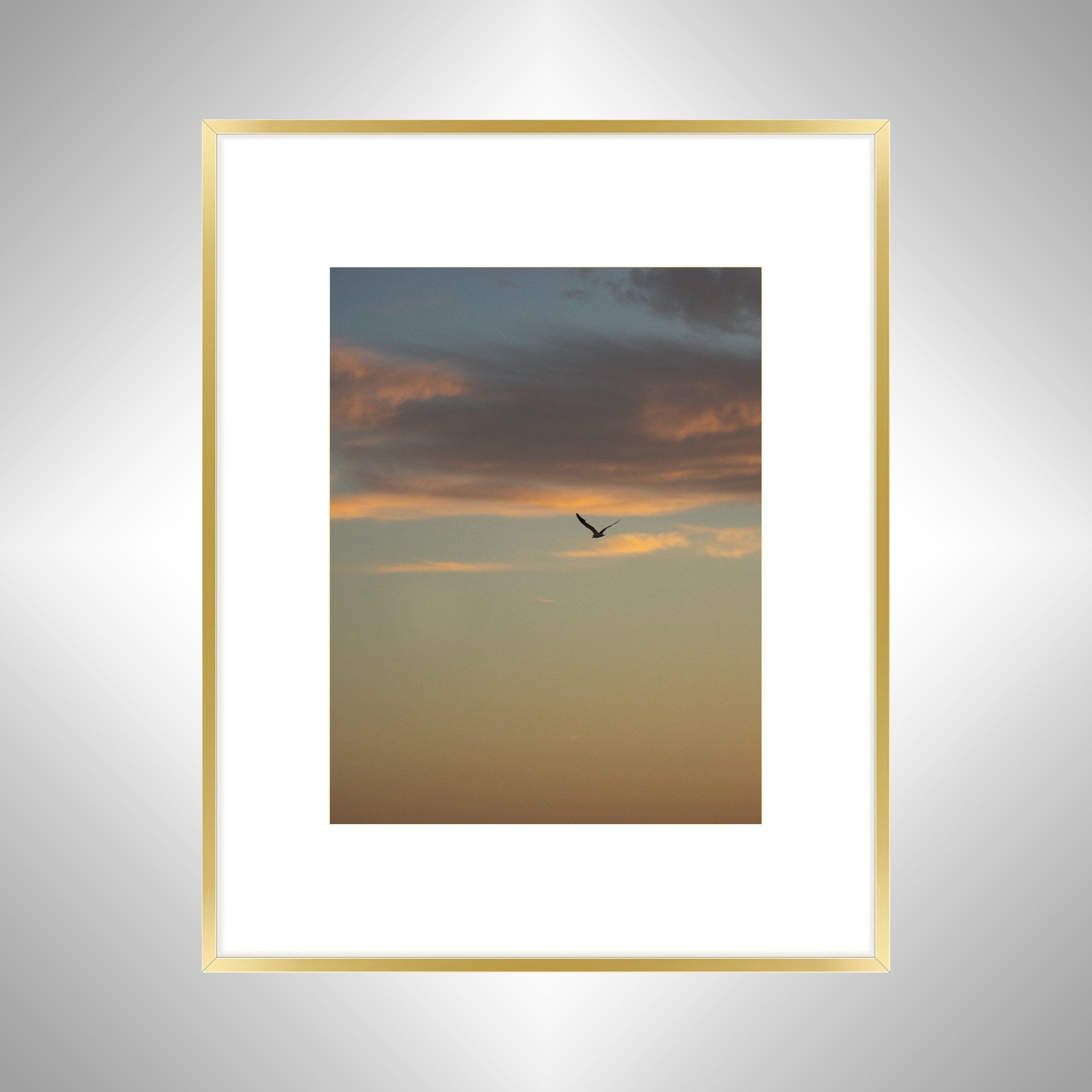 1:10 Seagull Soaring Gradient- Gold w: Border.jpg
