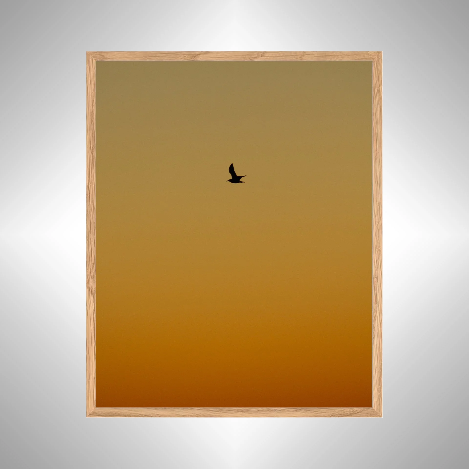 1:1 Seagull Silhouette Soaring North with Orange Gradient- White copy NATTY.jpg