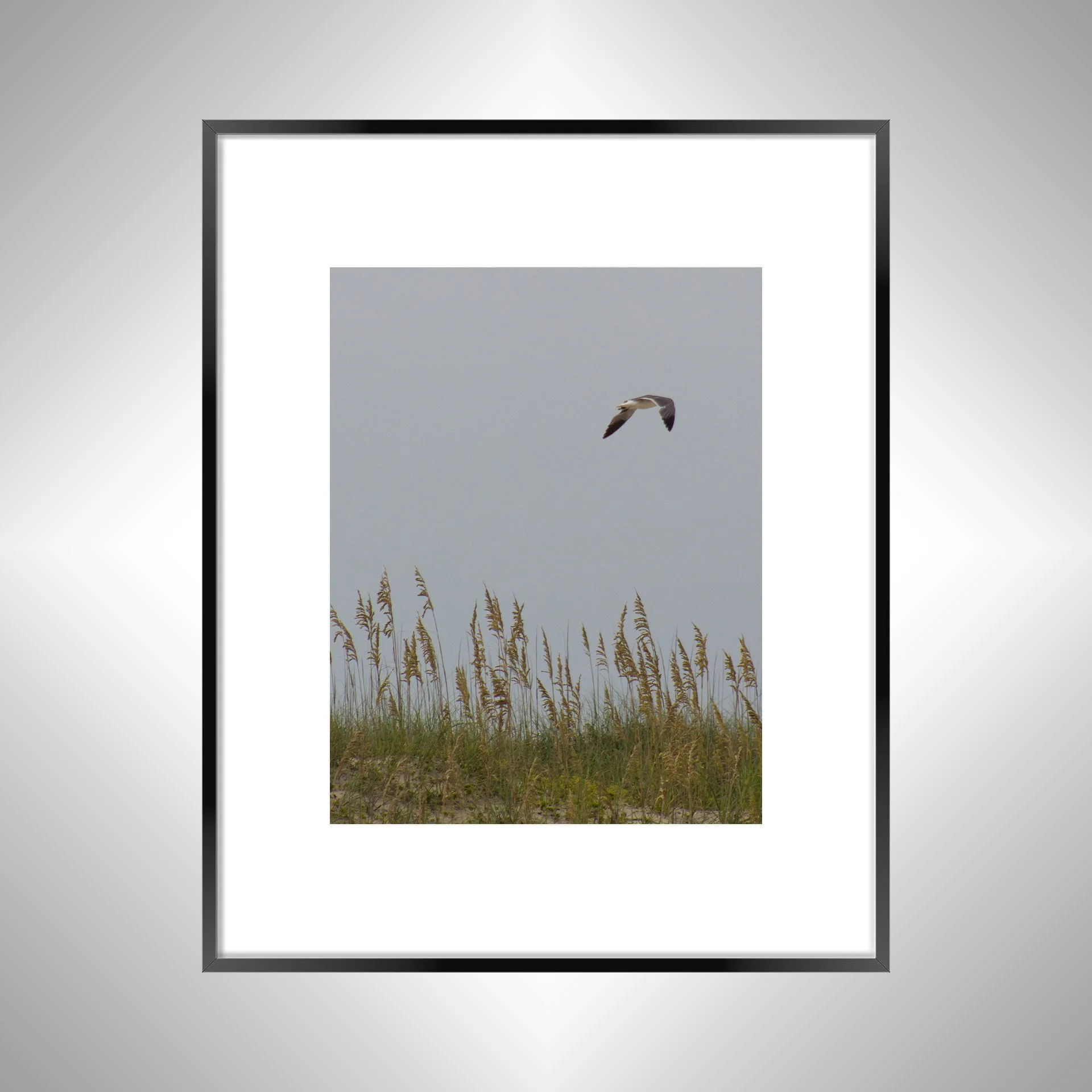 1:1 Seagull with Sea Oats- Black w: Border.jpg