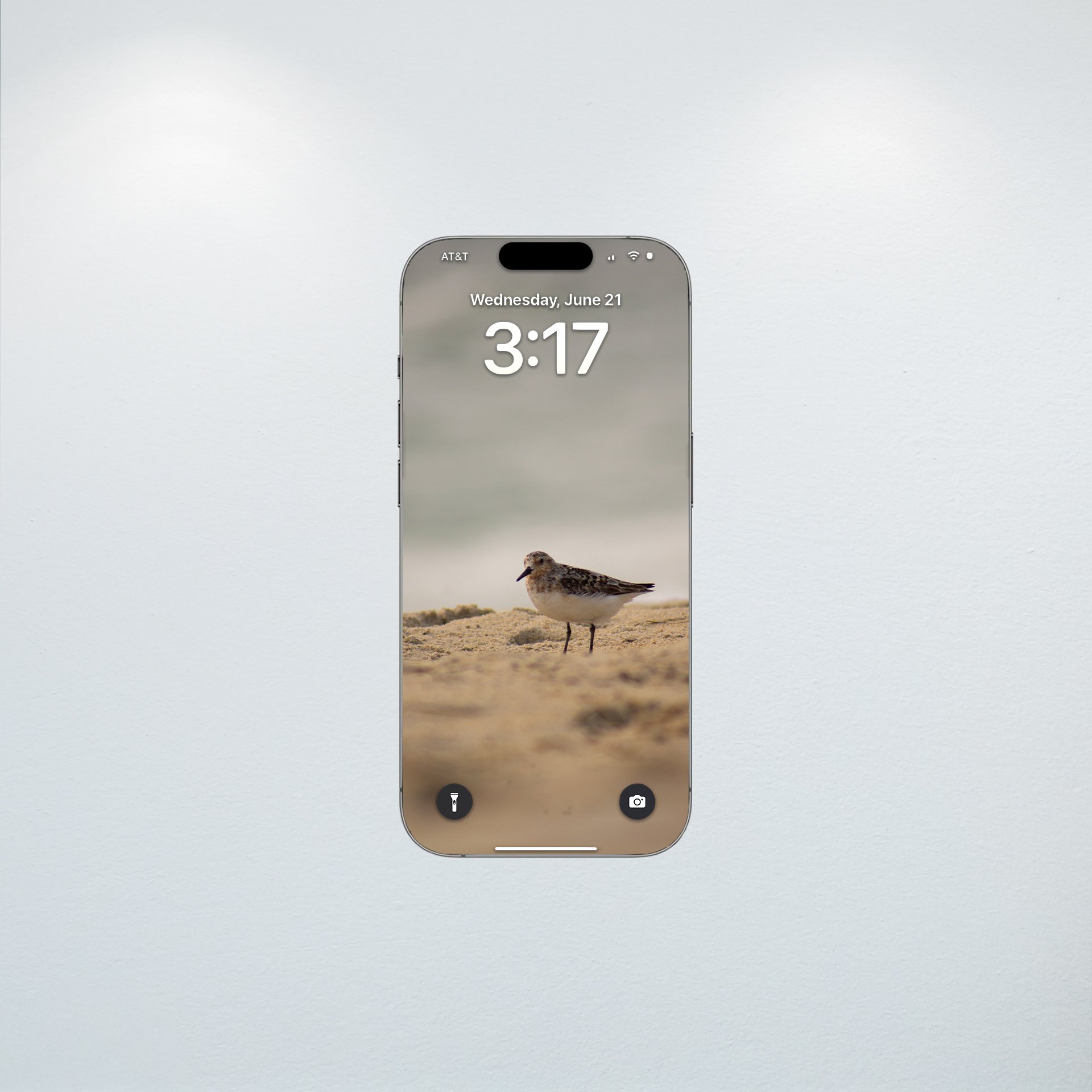 1:10 Sanderling Photoshoot in Rodanthe- Wallpaper.jpg