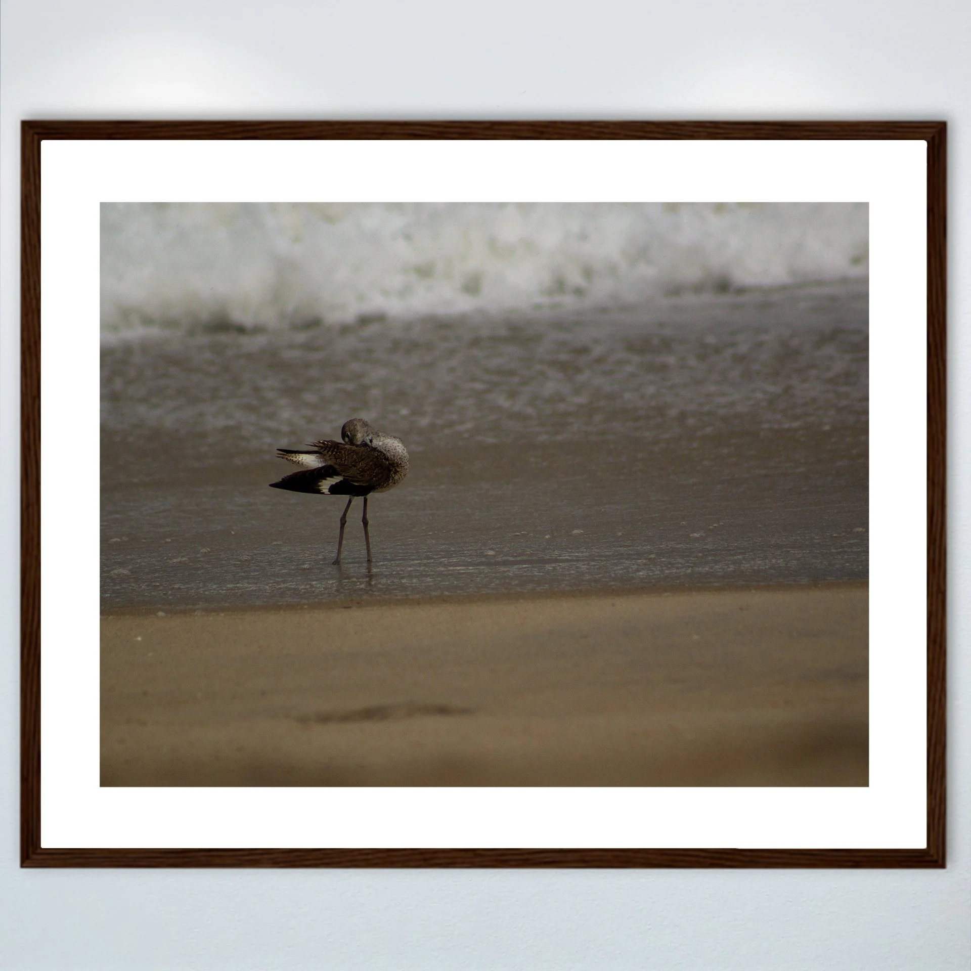 1:1 Willet Cleaning- Wood w: Border.jpg