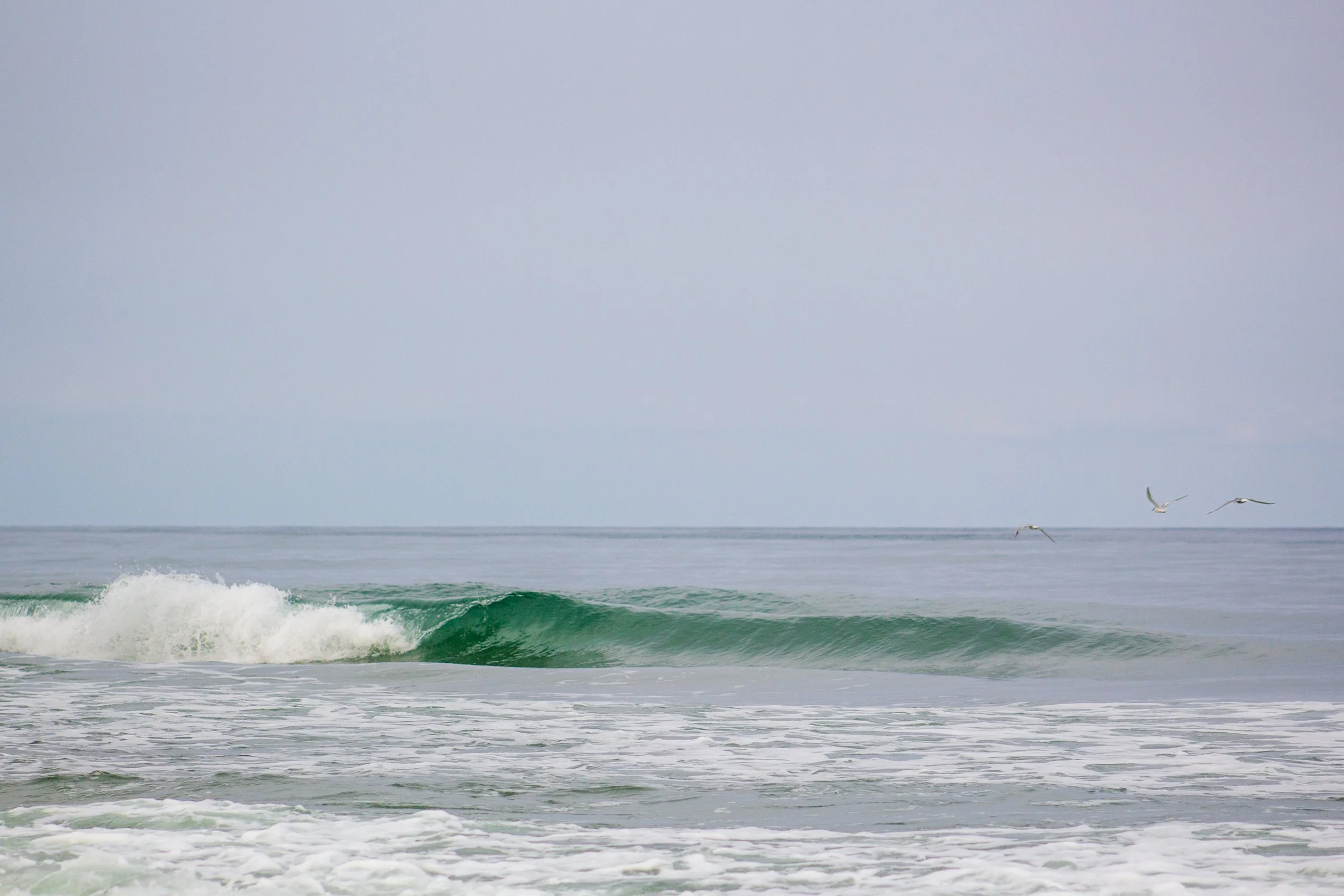1:1 Trio of Seagulls Flying by Barrel.jpg