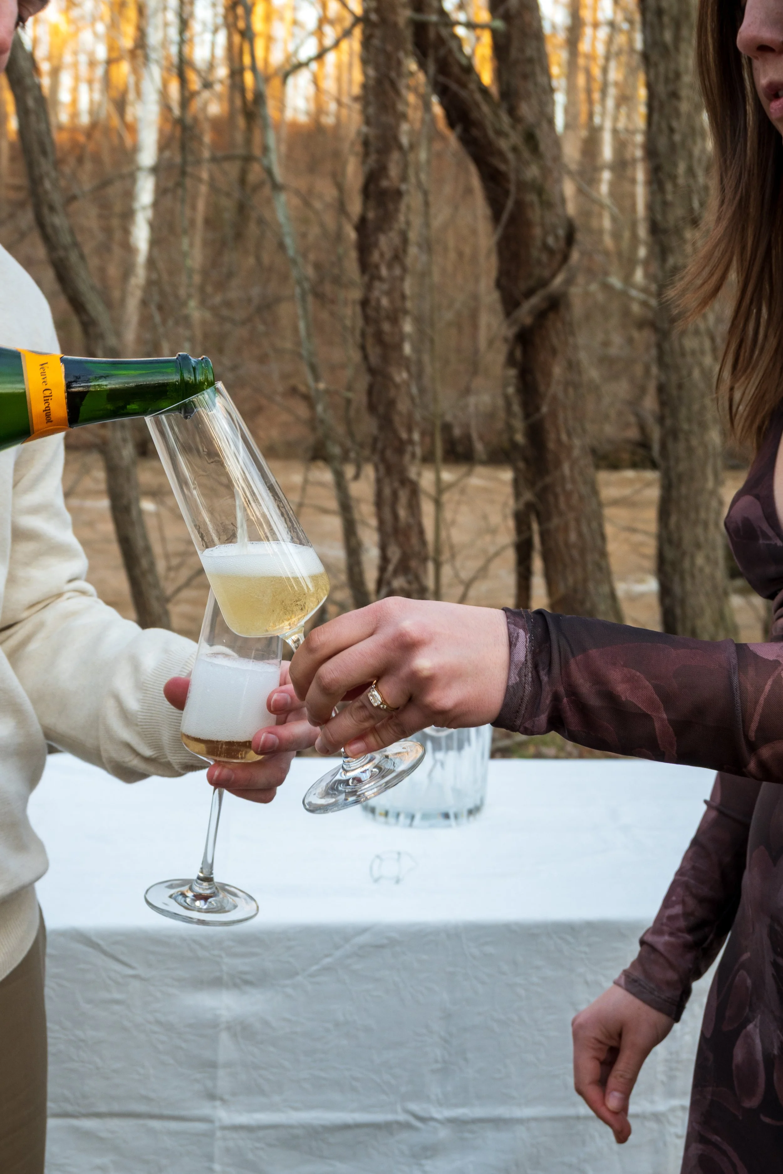 Engagement Photography by Will Locke near Richmond, VA in Montpelier. A newly engaged couple pours champagne glasses, with a table and a bottle of champagne in the background.