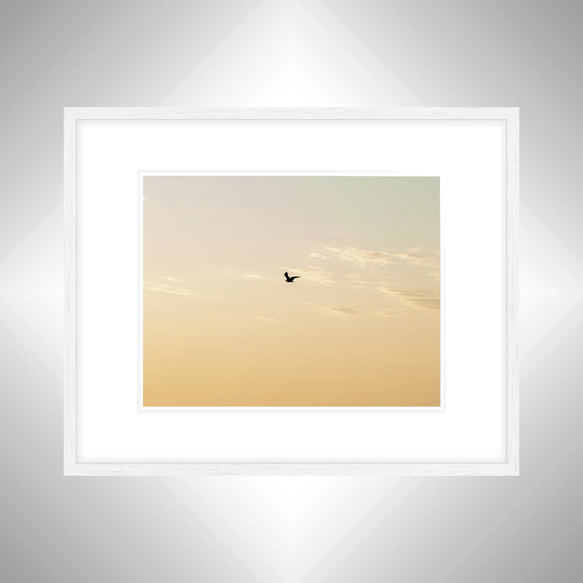 1:10 Golden Gull on Horizon- White w: Border.jpg