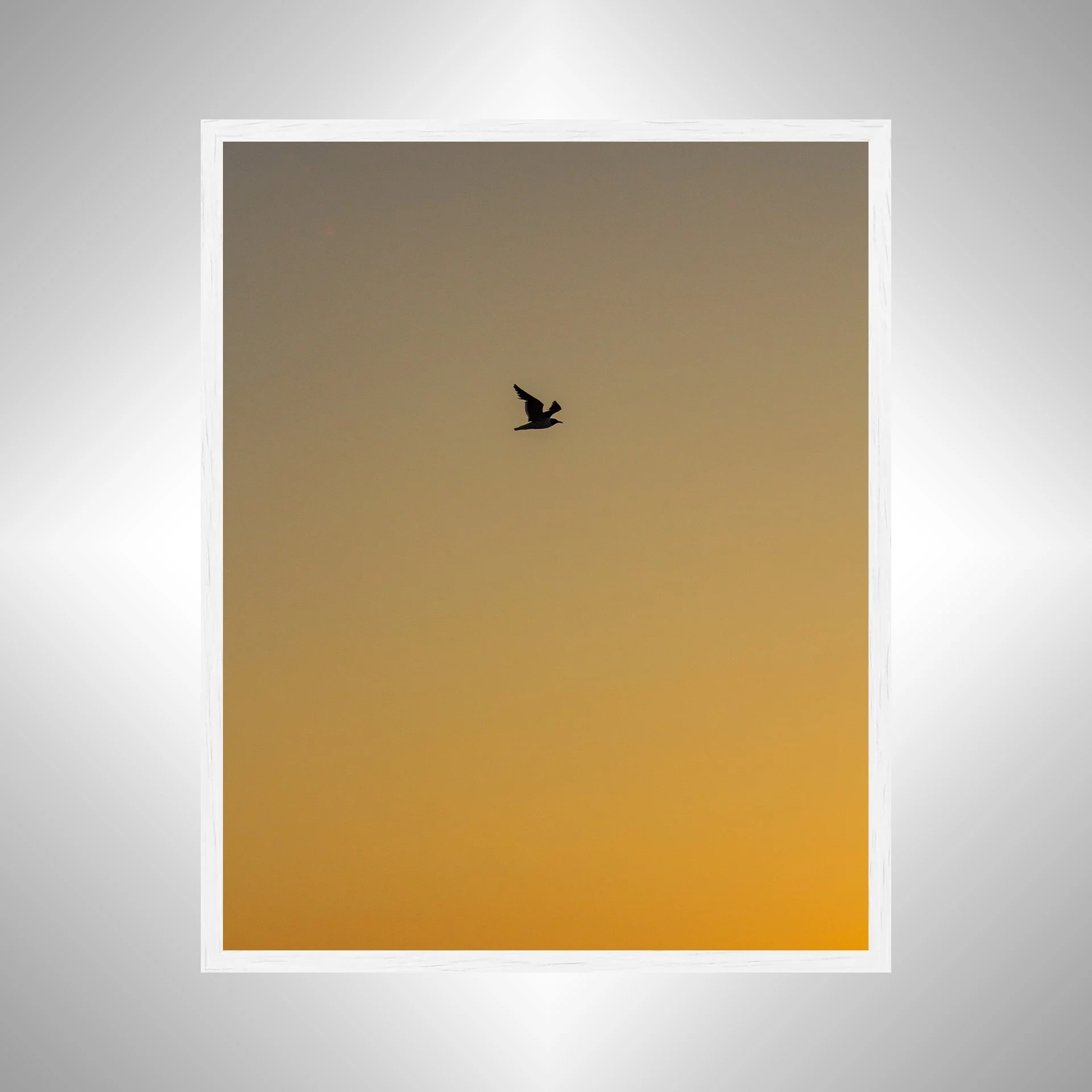 1:1 Seagull Silhouette Soaring South with Orange Gradient- White.jpg