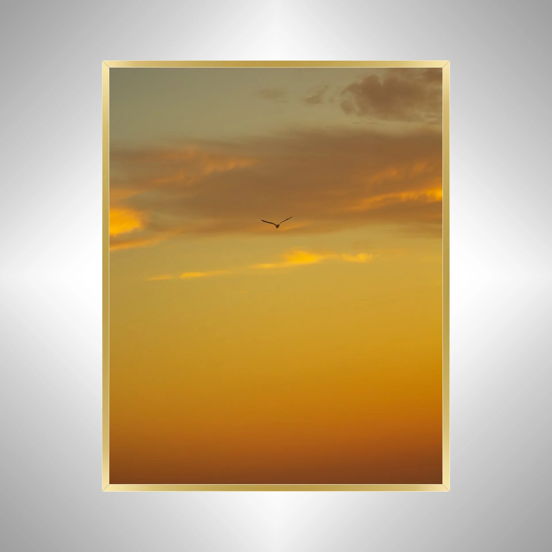 1:1 Seagull Soaring towards Clouds & Sunrise Gradient- Gold.jpg