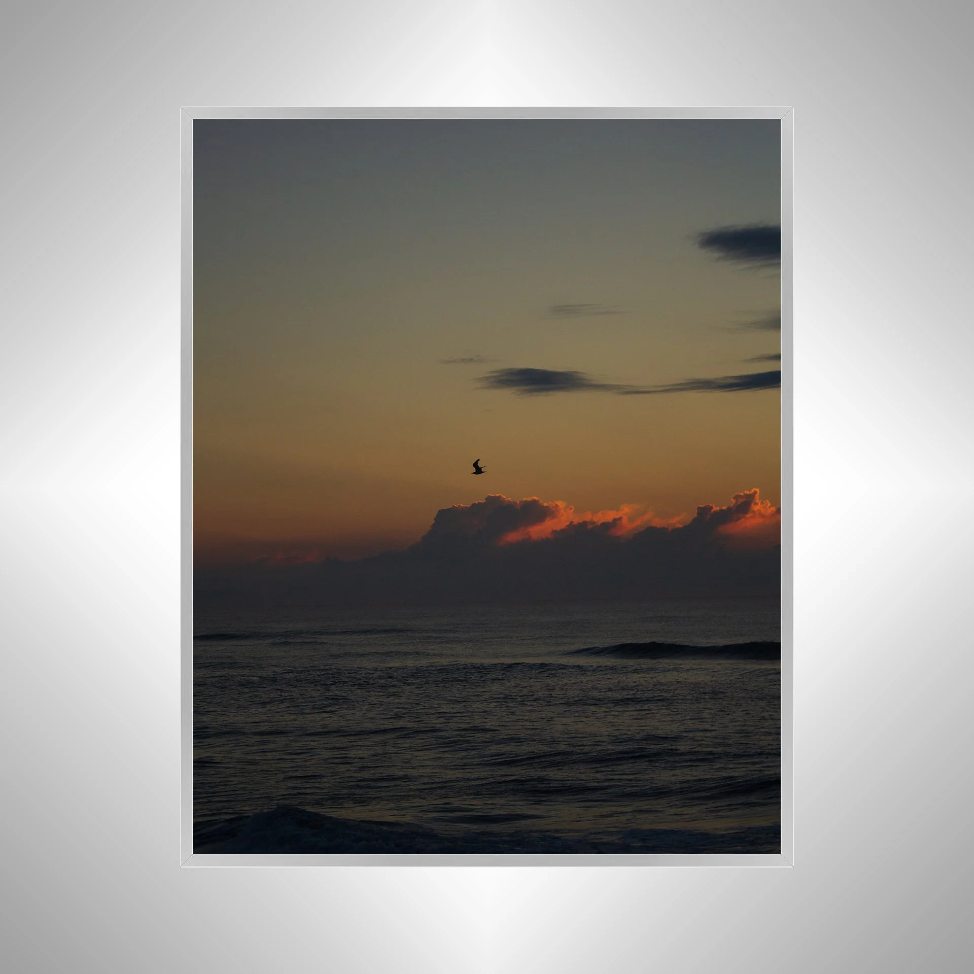 1:1 Cloudy Sunrise Soaring Seagull- Silver Metal.jpg