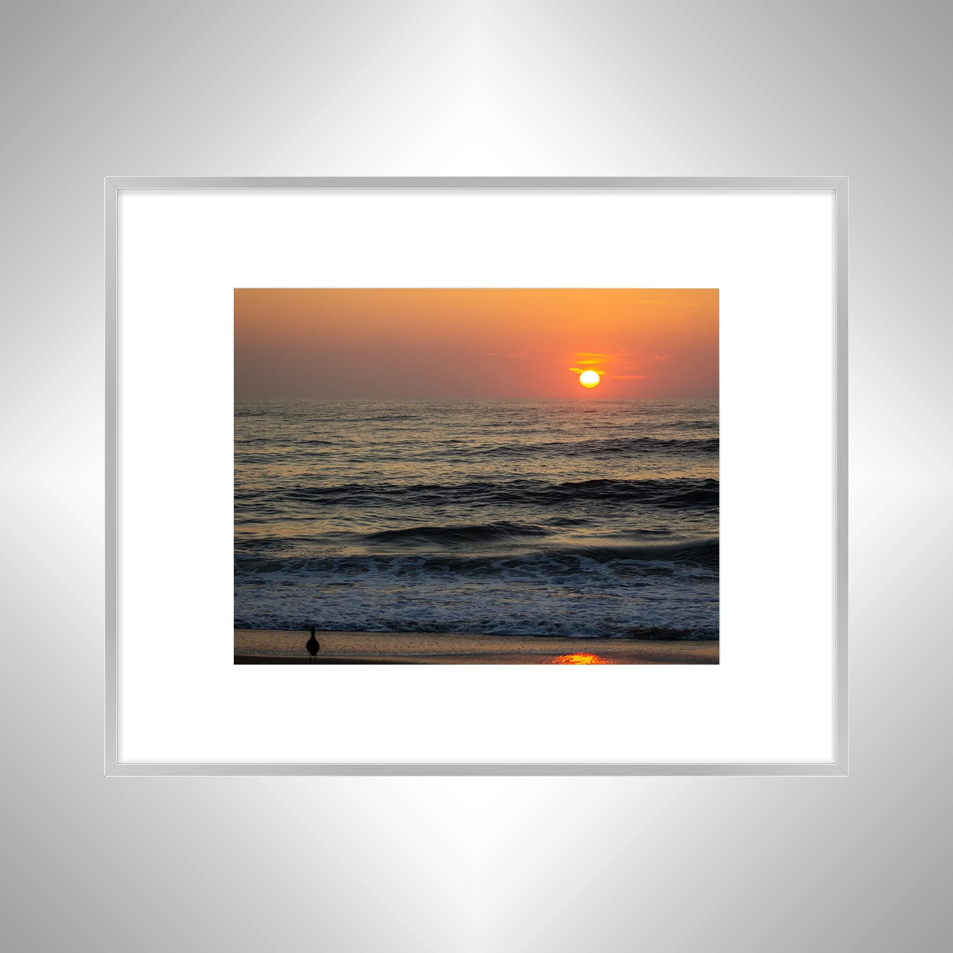 1:1 Willet Watching Sunrise- Silver w: Border.jpg