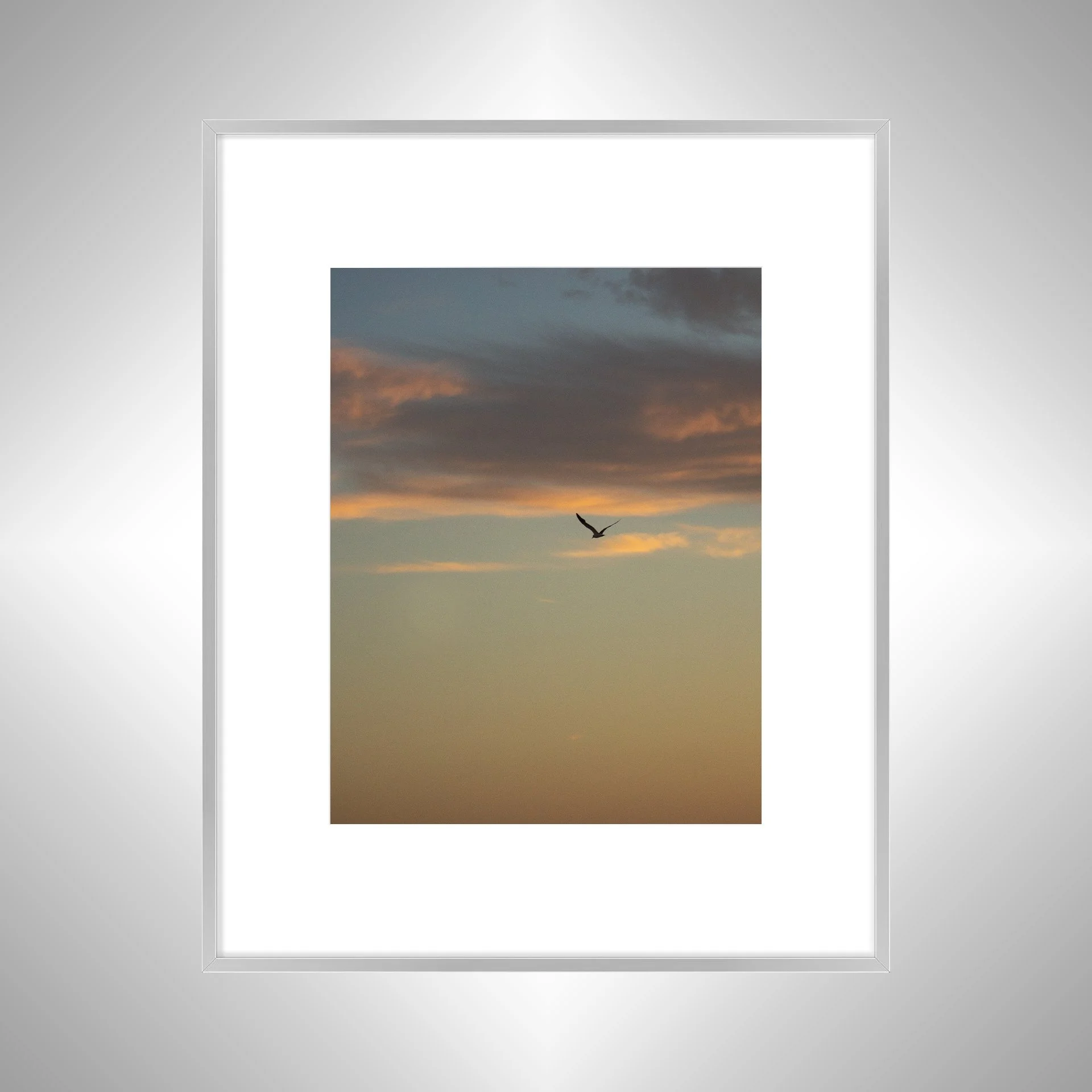 1:10 Seagull Soaring Gradient- Silver w: Border.jpg