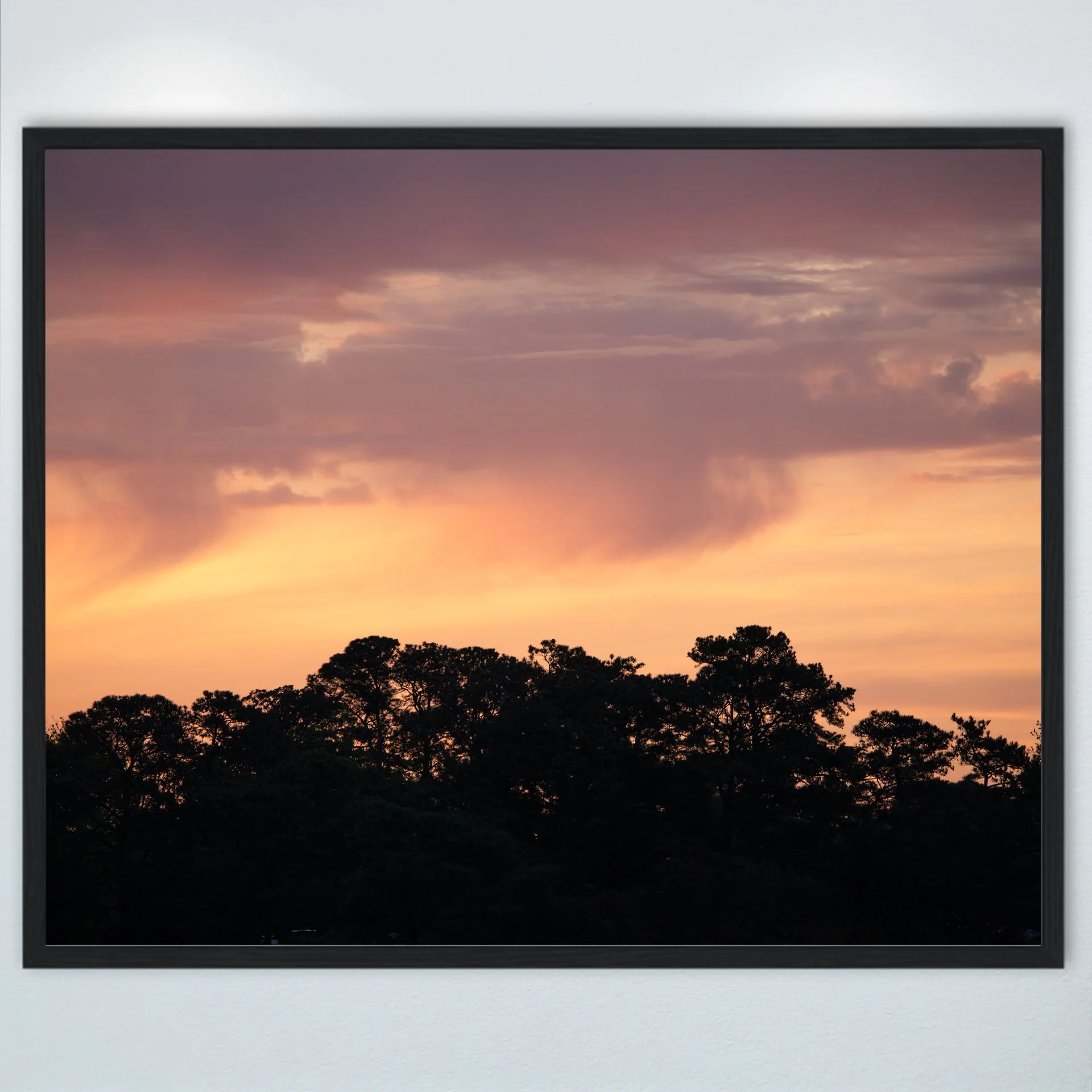 1:10 Orange & Gold Sunrise Sky Behind Trees- Wood.jpg