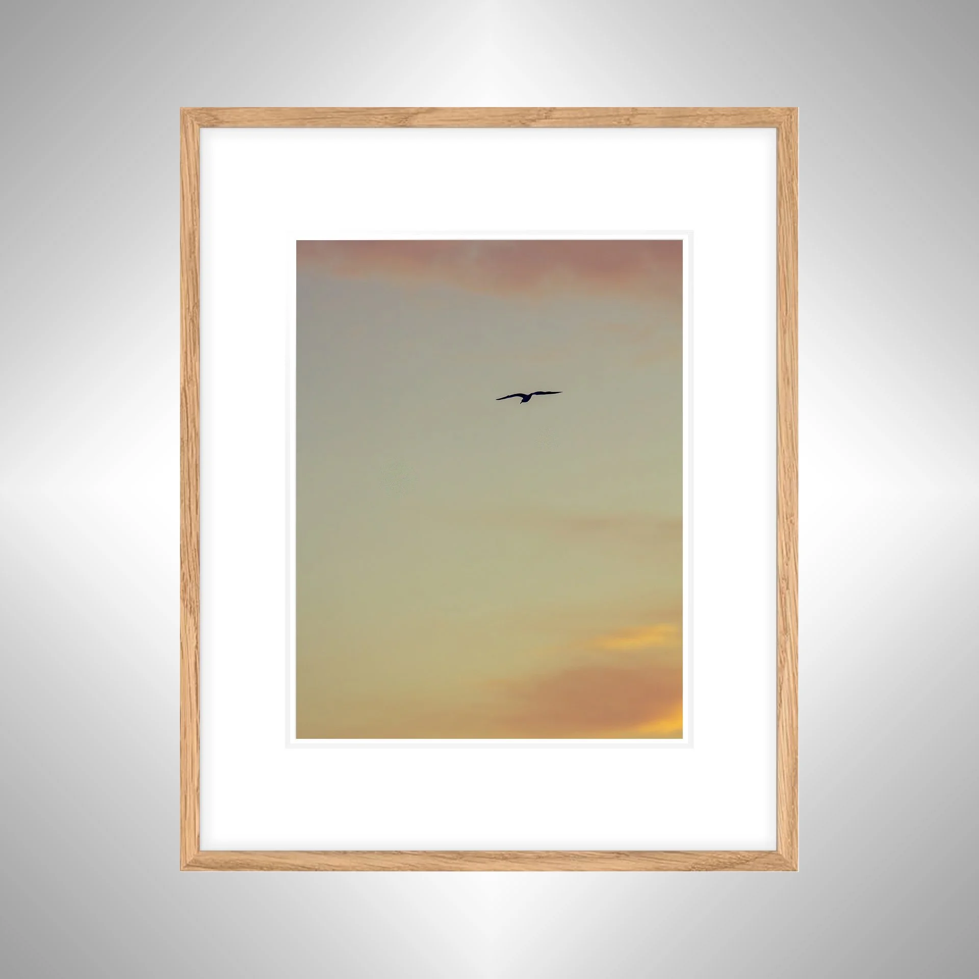 1:1 Seagull Soaring towards Pink & Orange Clouds- White w: Border copy NATTY.jpg