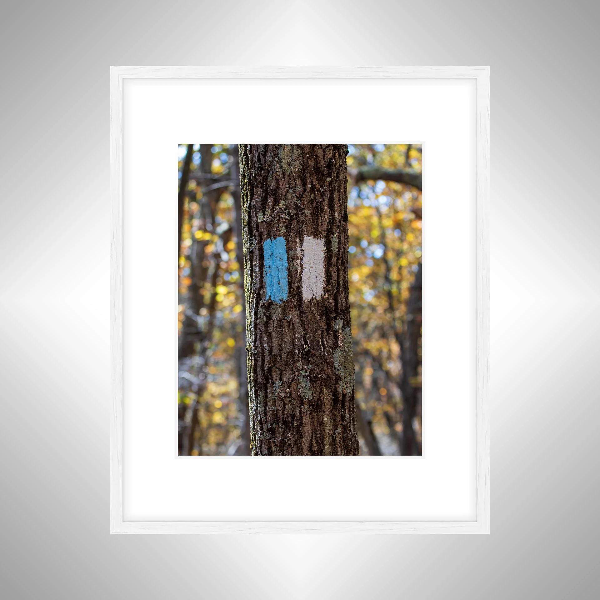 1:1 Appalachian Trail Blaze- White Wood w: Border.jpg