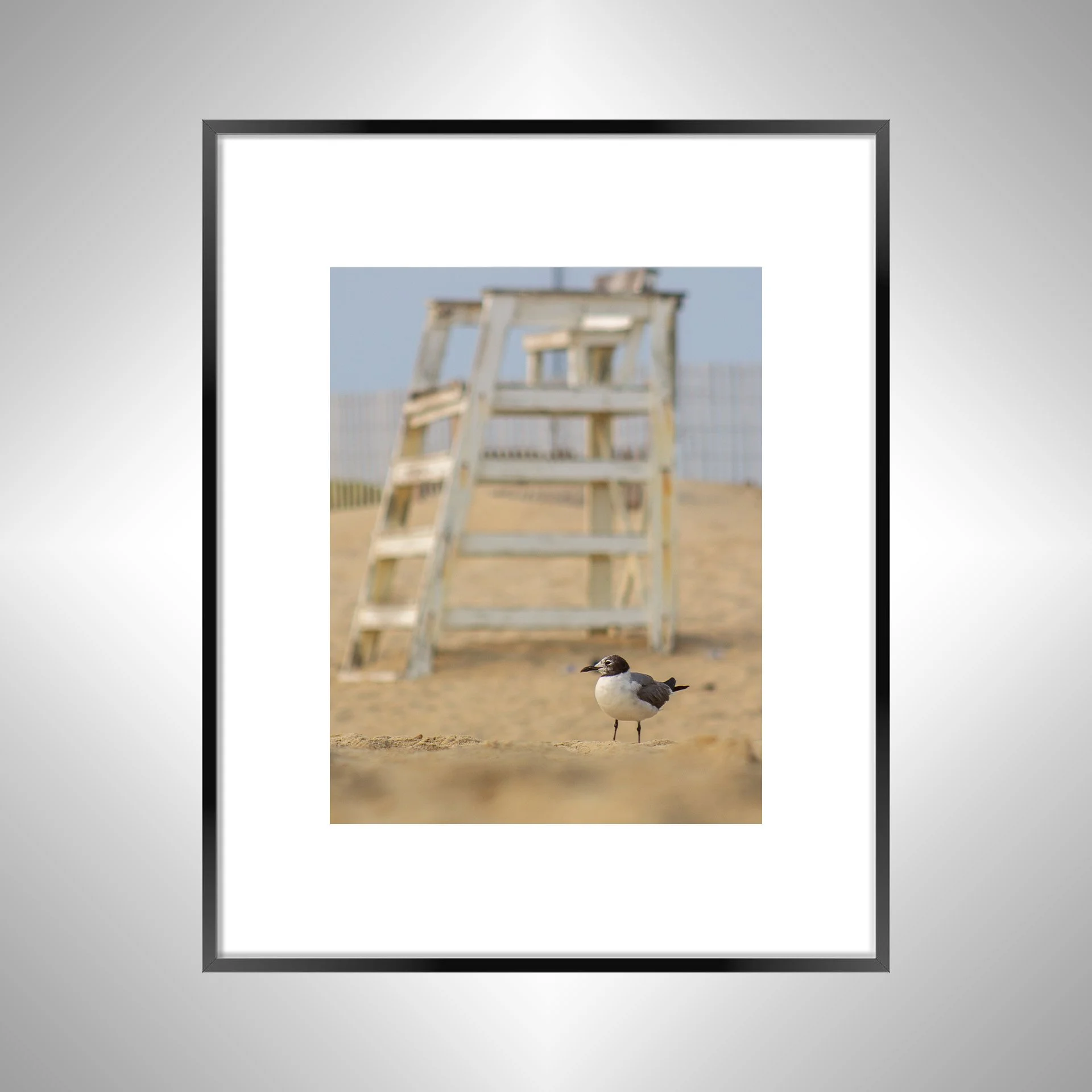 1:1 Lifeguard Gull- Black Metal w: Border.jpg