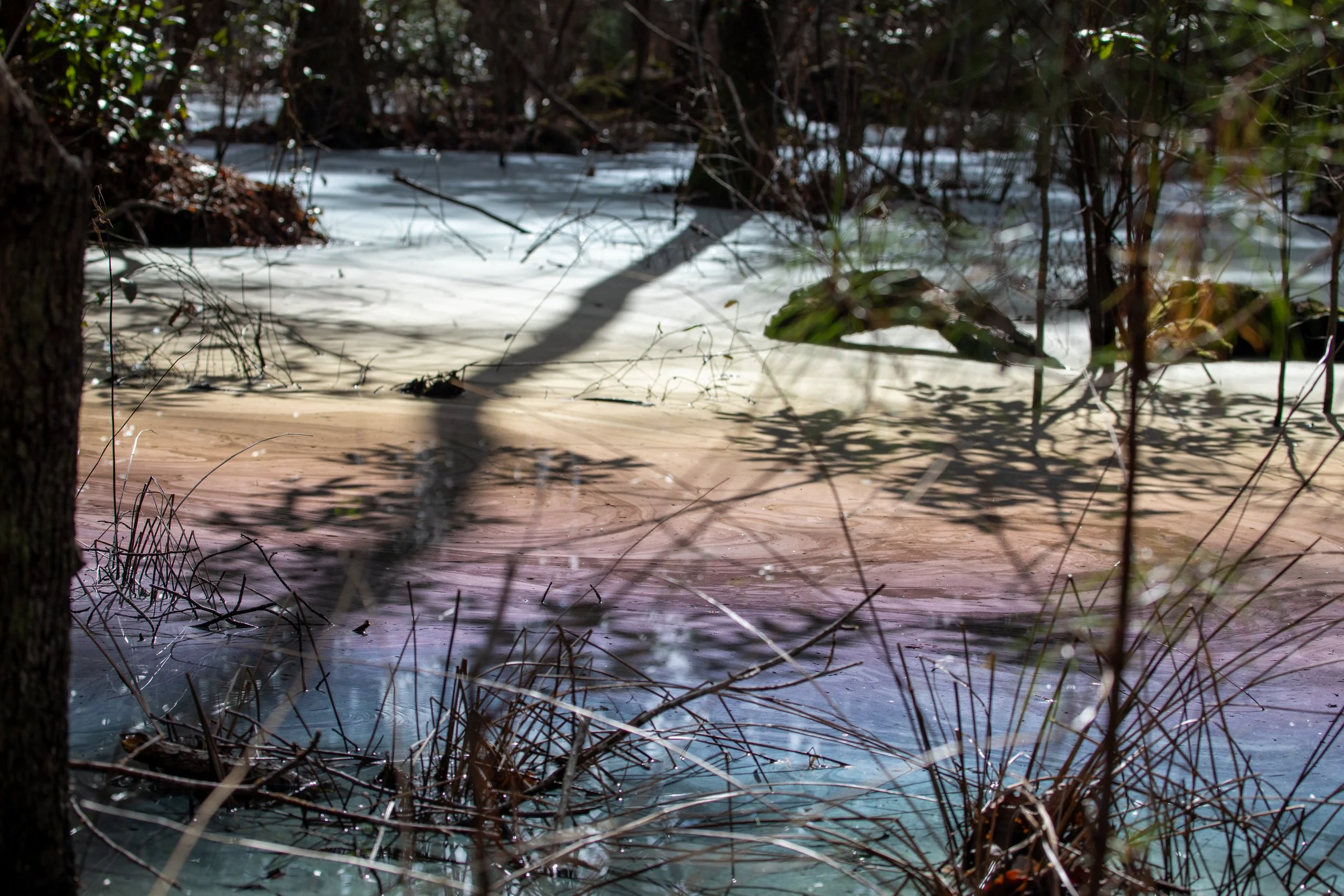 1:1 Rainbow Water at Seashore State Park.jpg