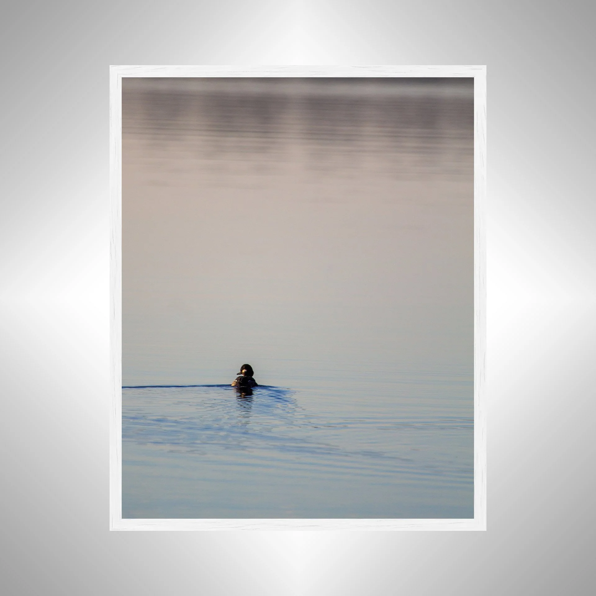 1:10 Bufflehead on Lafayette- White.jpg