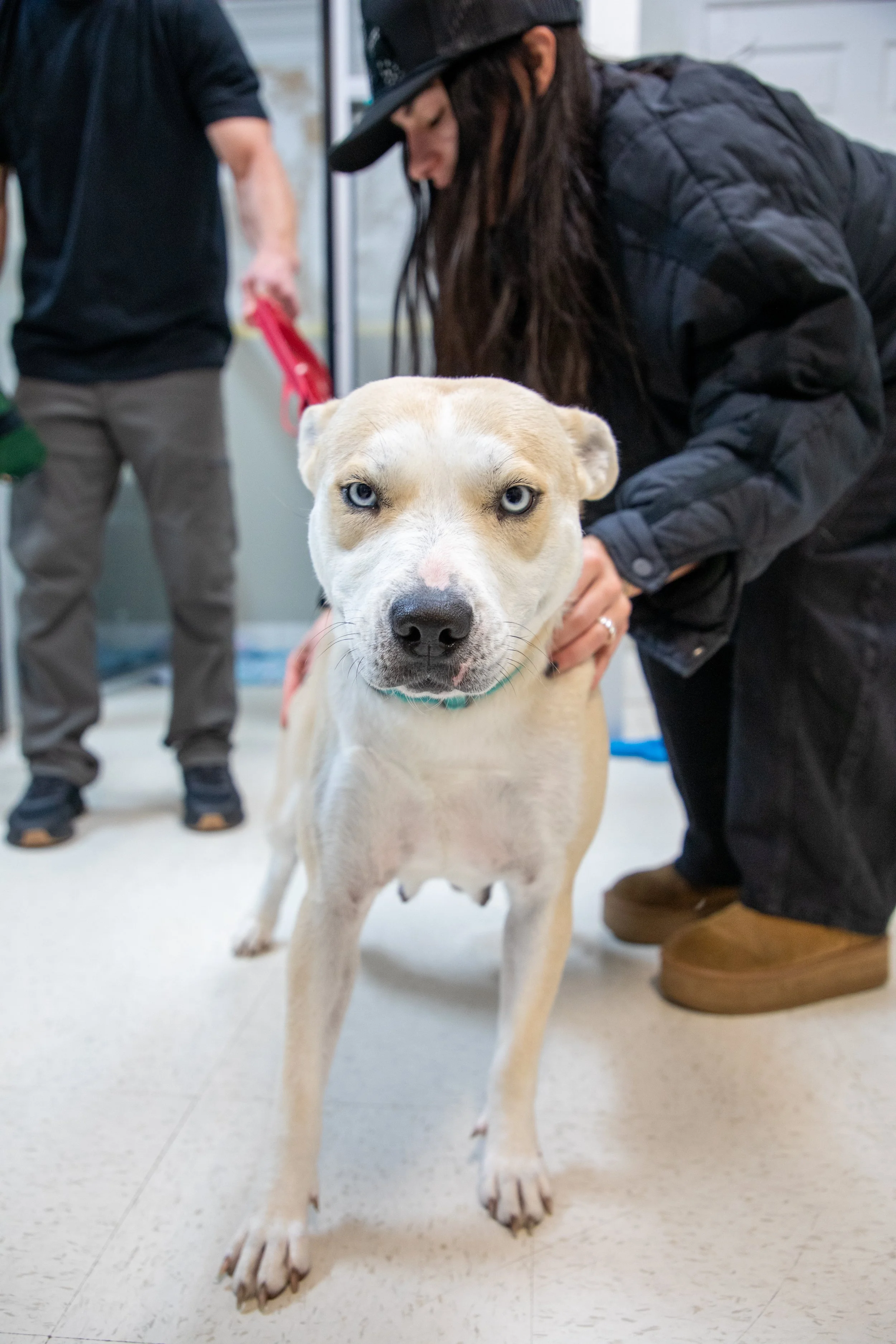 Will Locke Pet Photography- Hope For Life 12:28:2025 Missy12.jpg