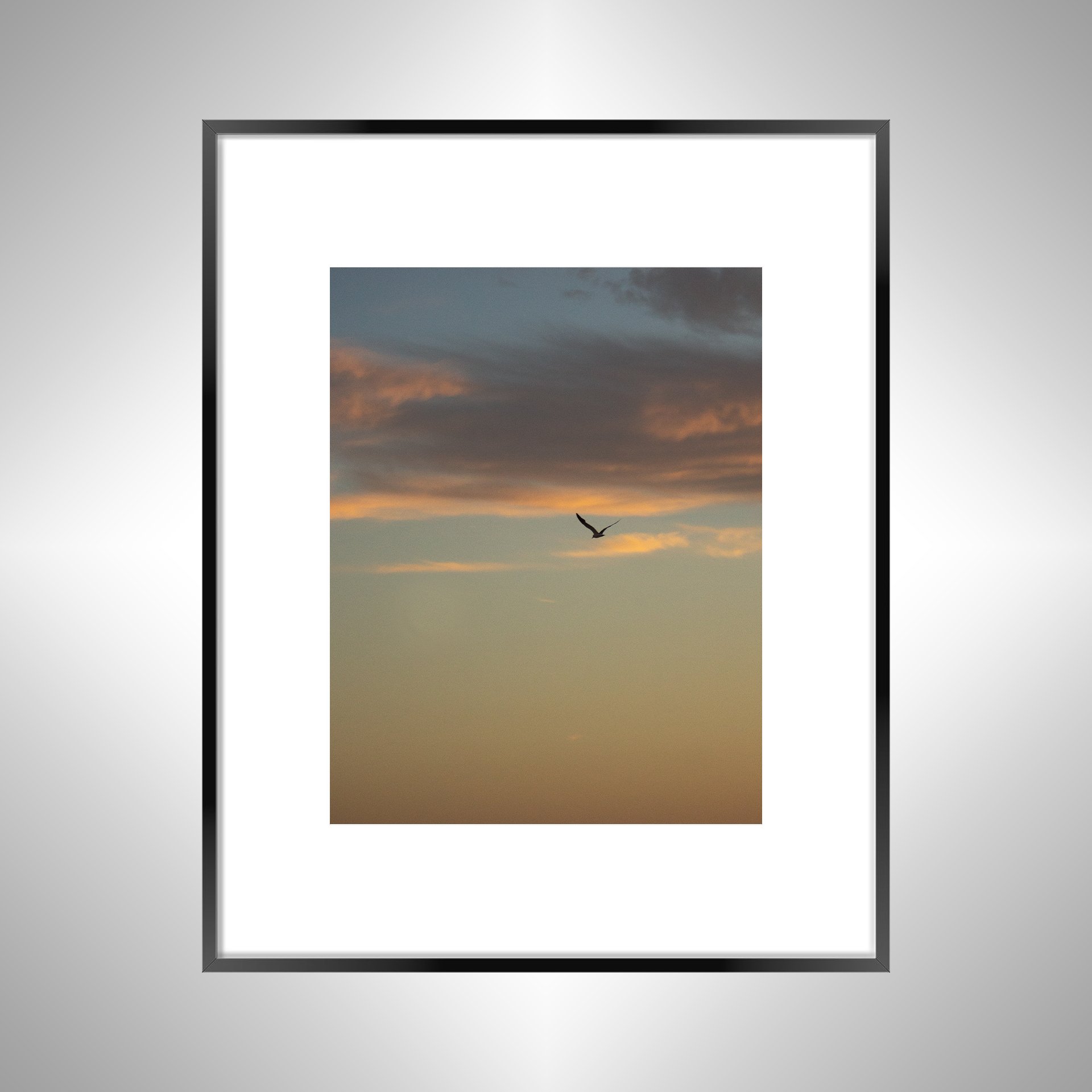 1:10 Seagull Soaring Gradient- Black w: Border.jpg