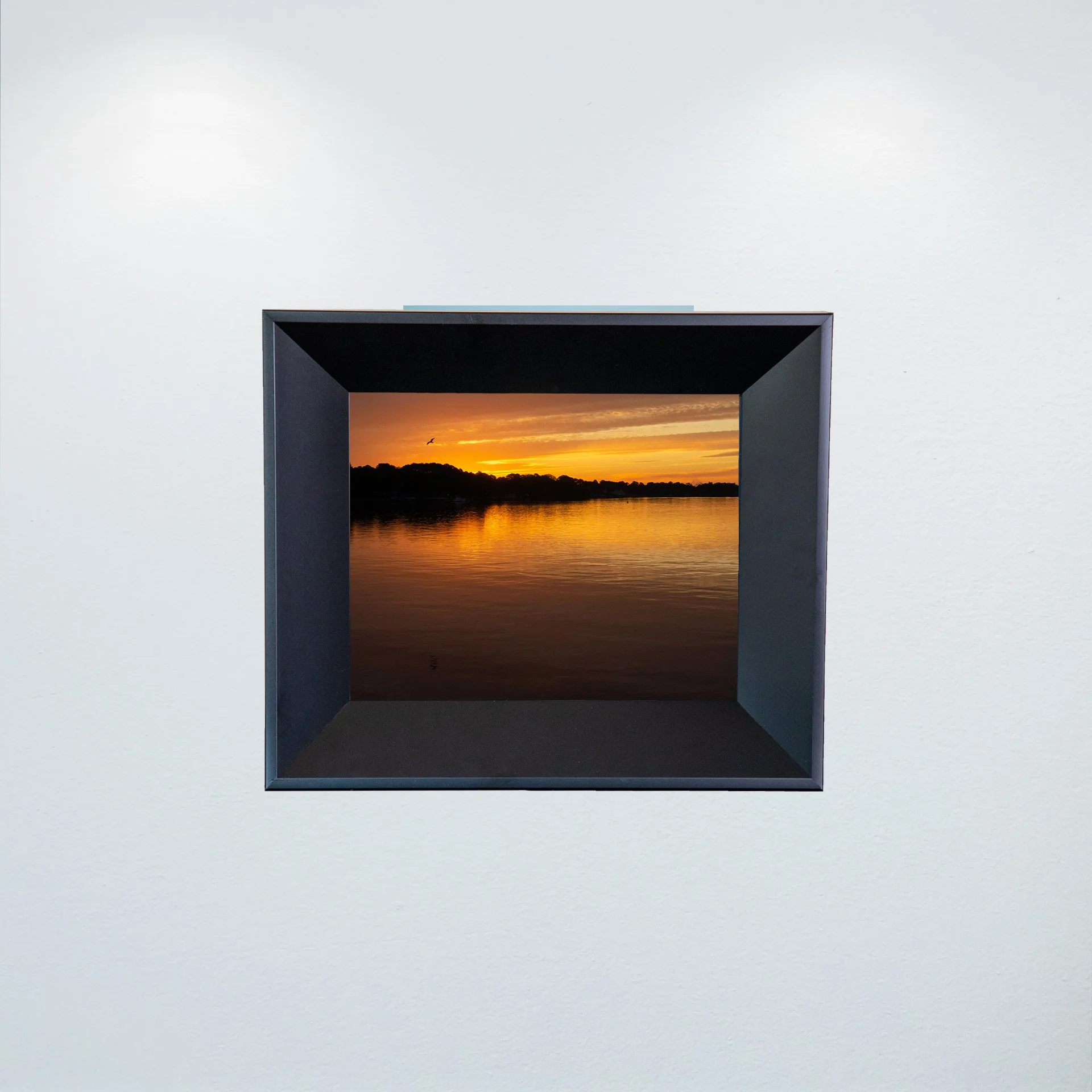 1:1 Seagull at Sunrise on the Lafayette River- Mini.JPG