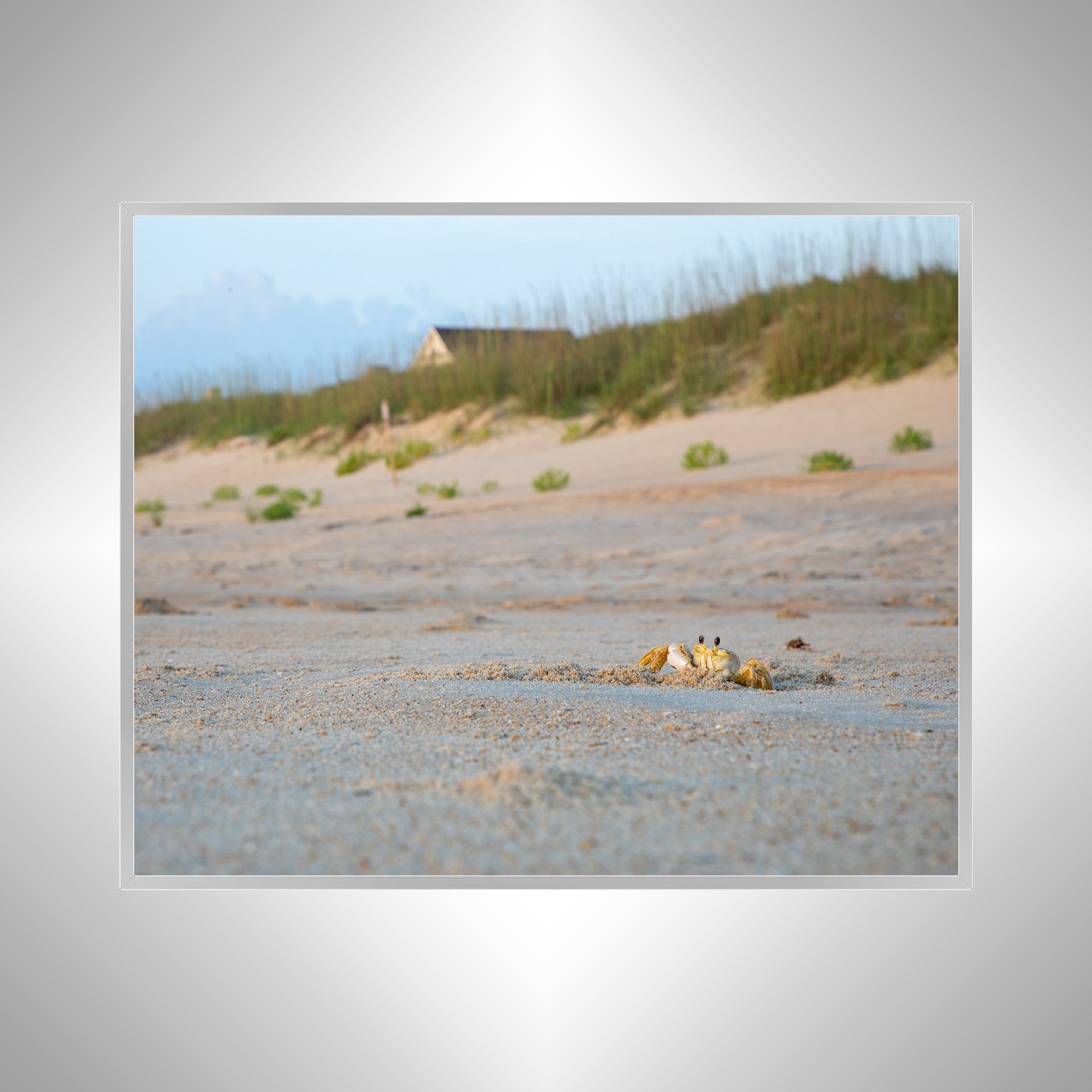 1:10 Ghost Crab Headshot- Silver.jpg