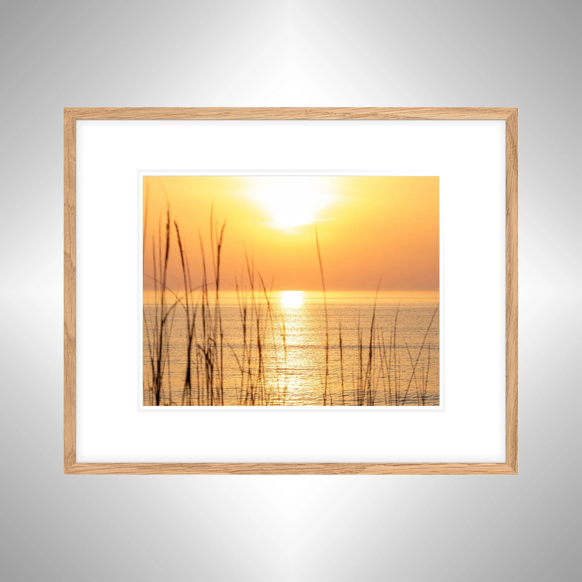 1:1 Sunrise thru Dunegrass- White w: Border copy NATTY.jpg