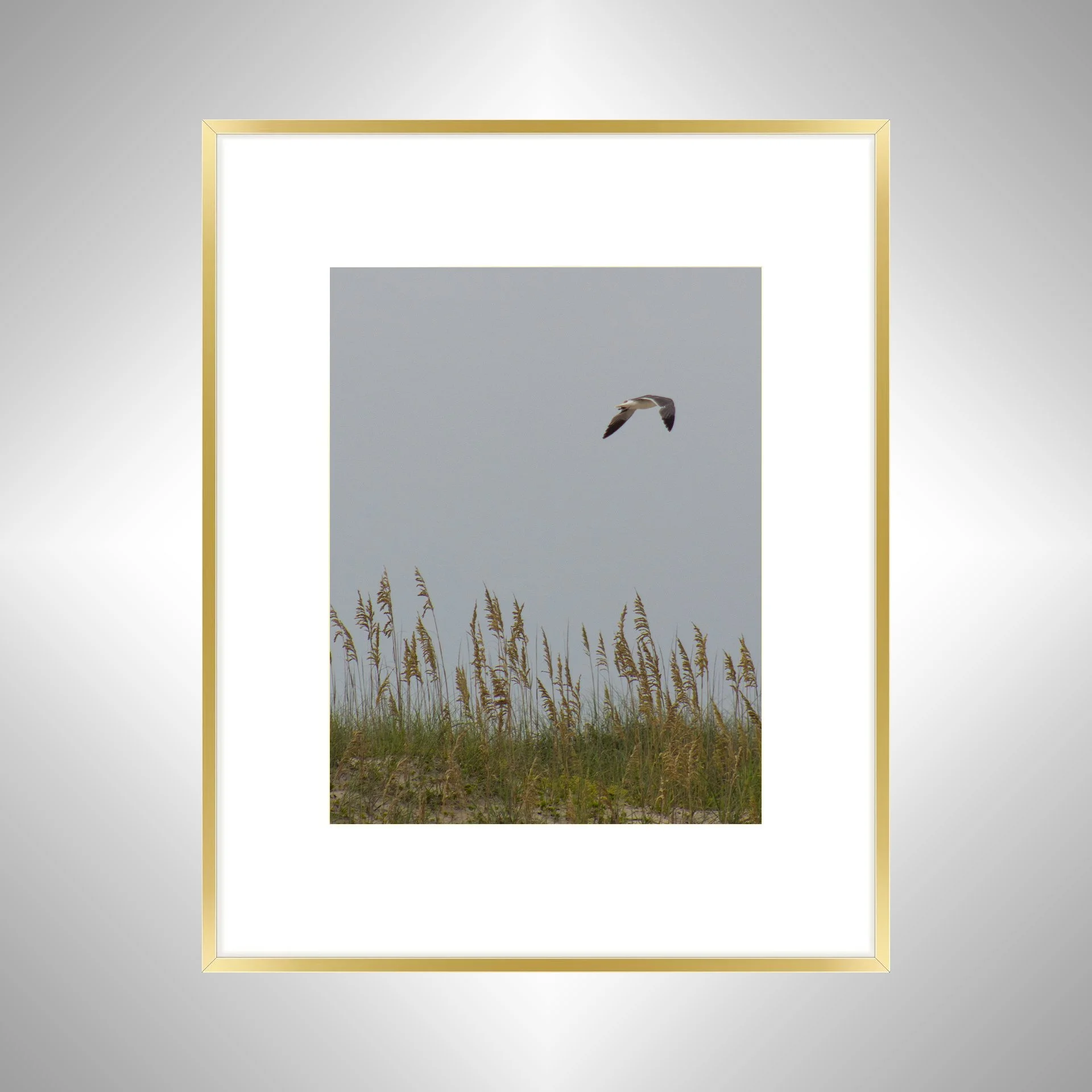 1:1 Seagull with Sea Oats- Gold w: Border.jpg