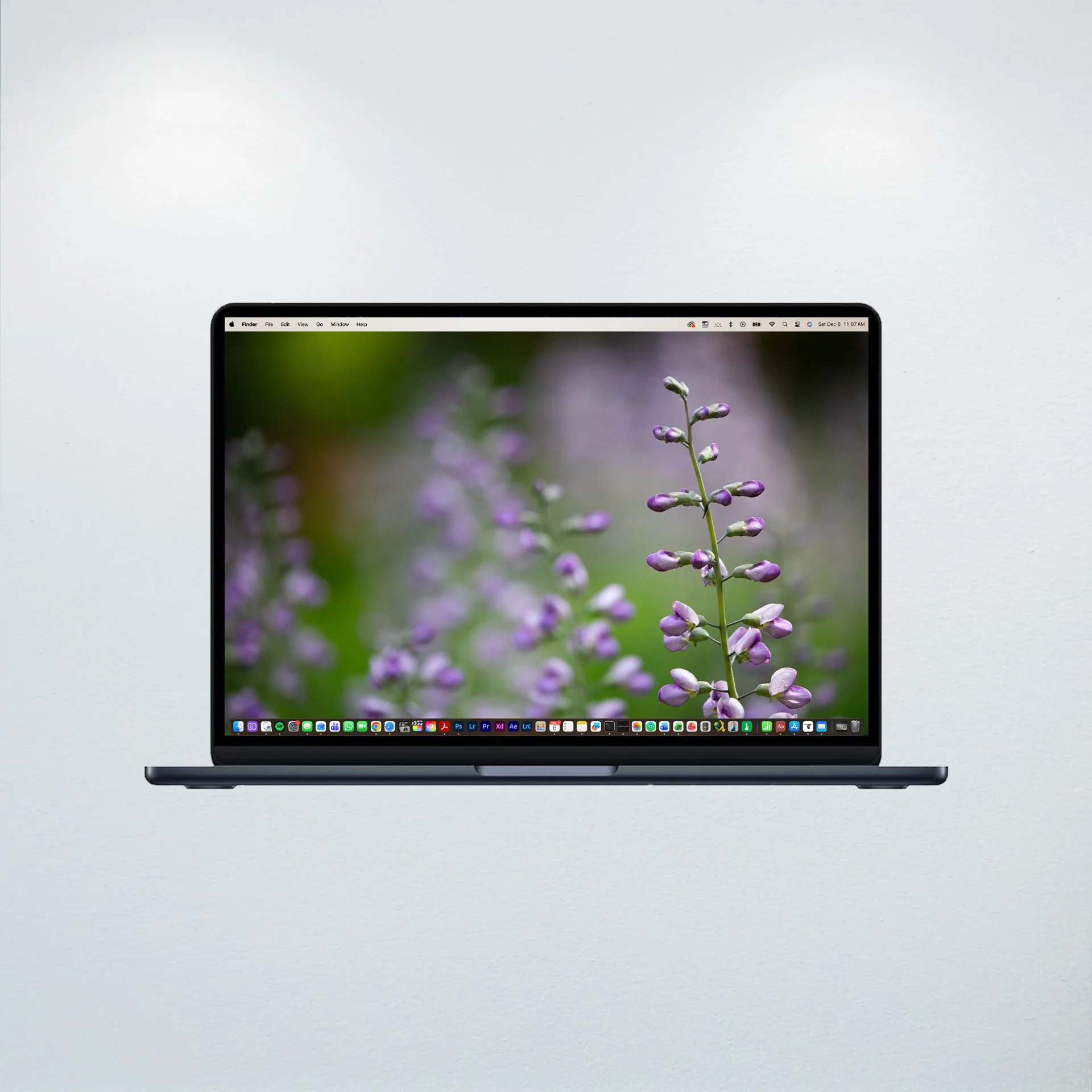 1:10 Baptisia 'Purple Smoke'- Wallpaper.jpg