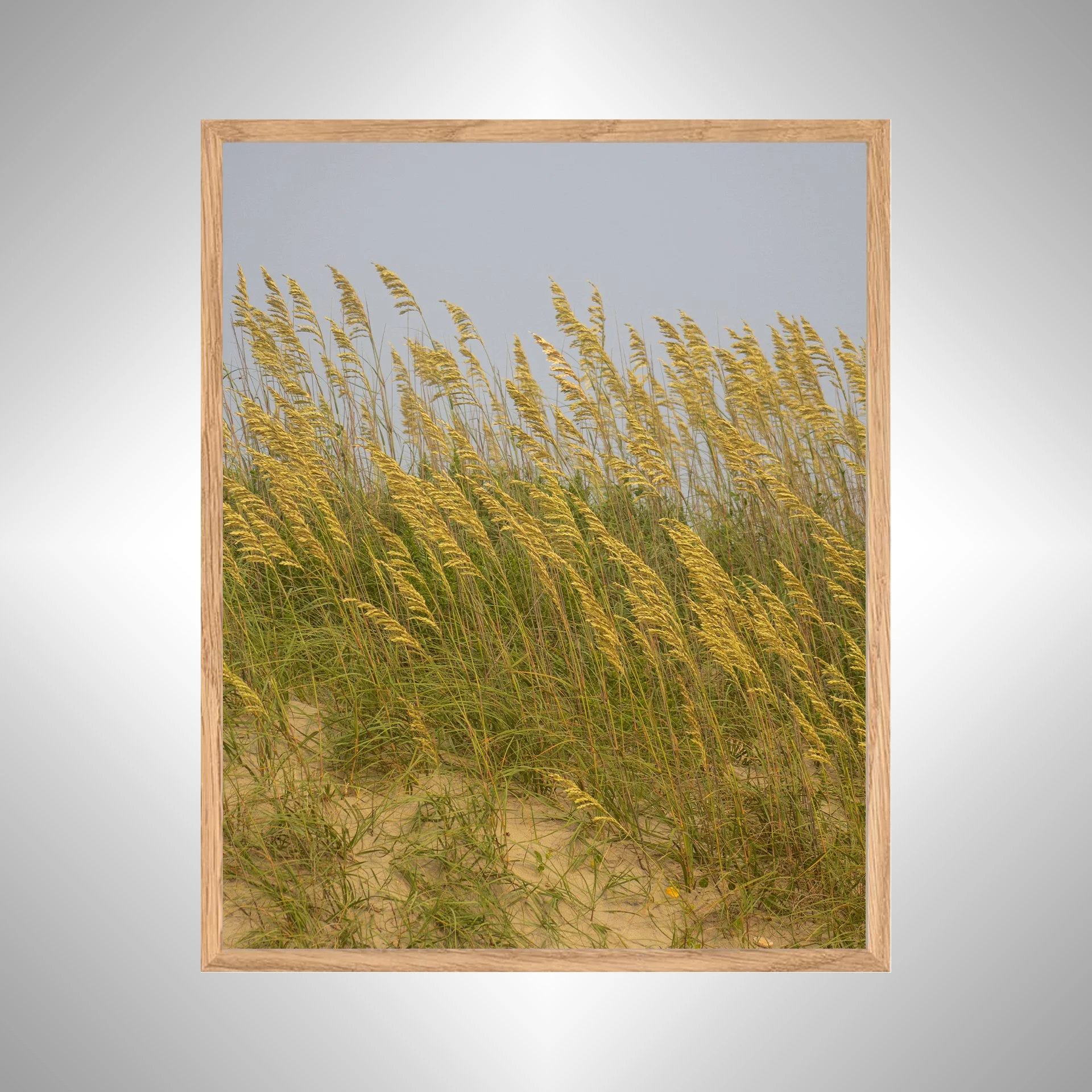 1:1 Rodanthe Dune Oats (Portrait)- White copy NATTY.jpg