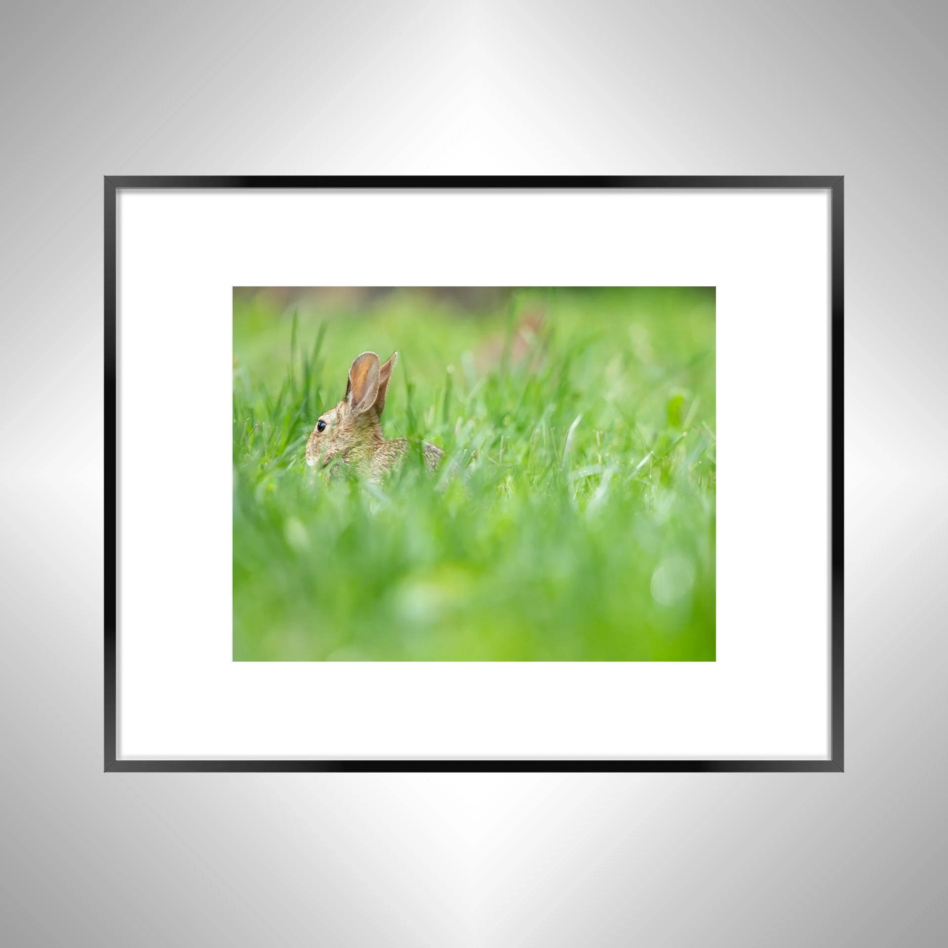 1:1 Rabbit in Grass- Black w: Border.jpg
