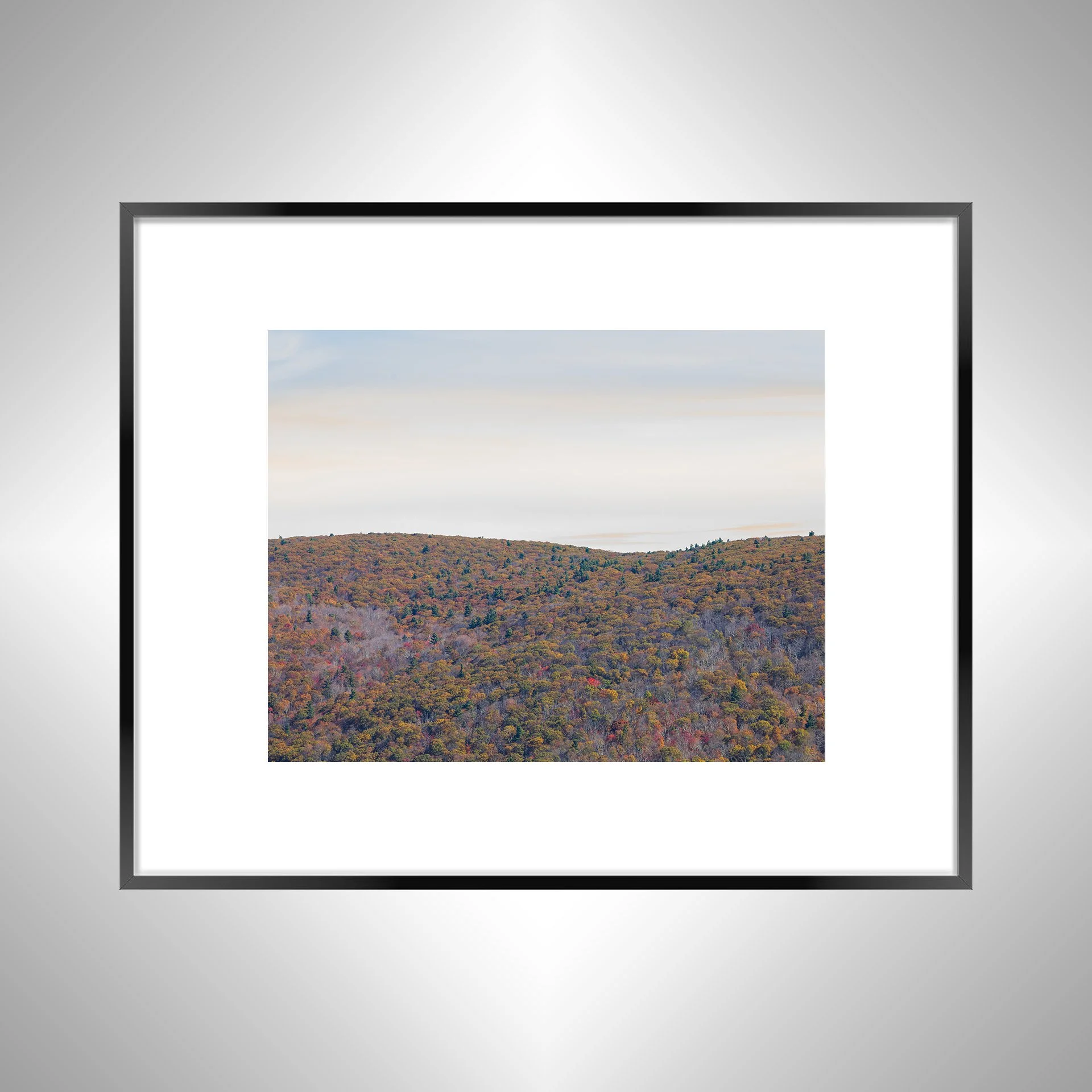 1:1 Shenandoah Mountain Tree Canopy at Fall- bwb.jpg