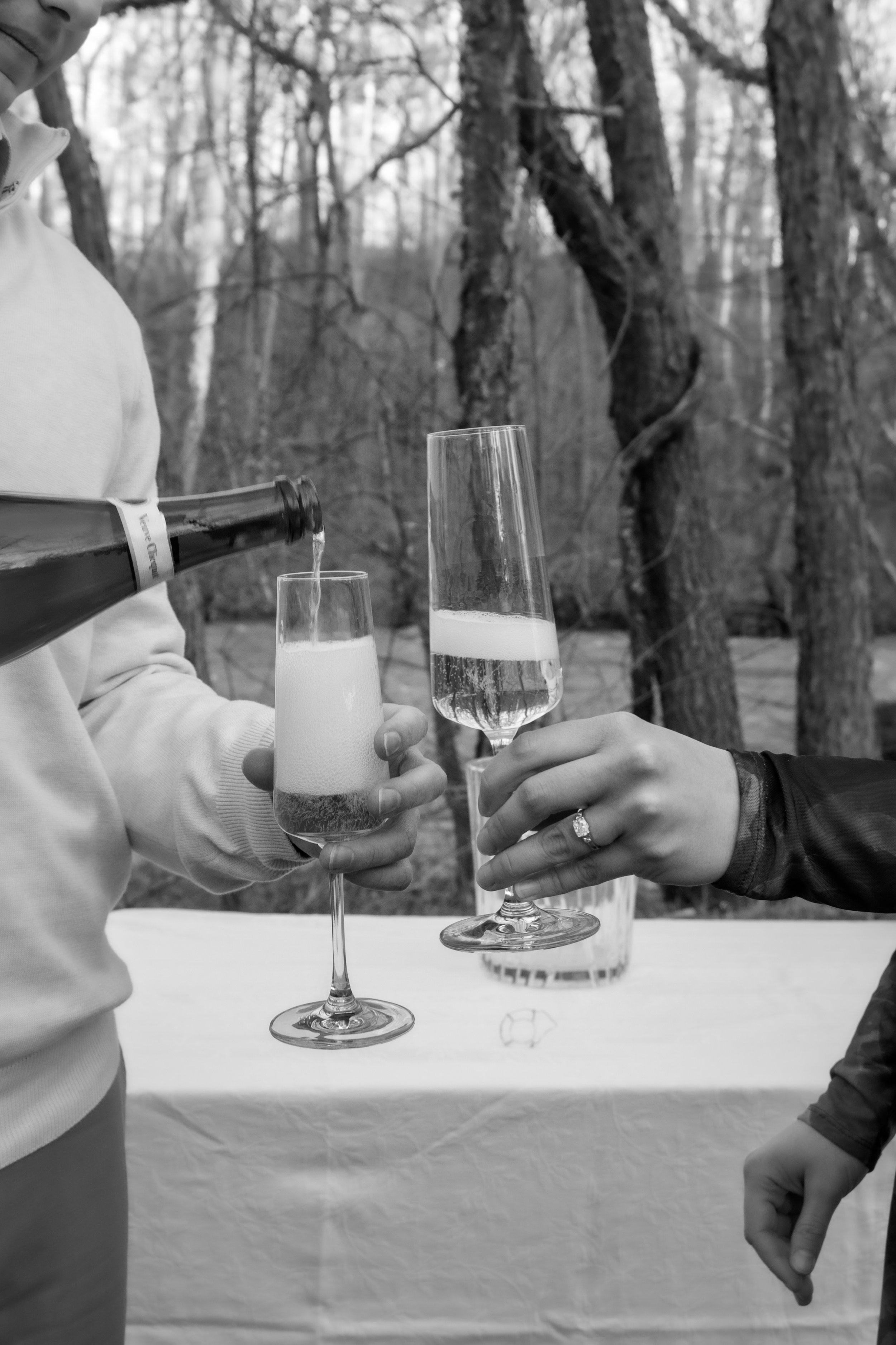 Engagement Photography by Will Locke near Richmond, VA in Montpelier. A newly engaged couple clinks champagne glasses outdoors, with a table and a bottle of champagne in the background.
