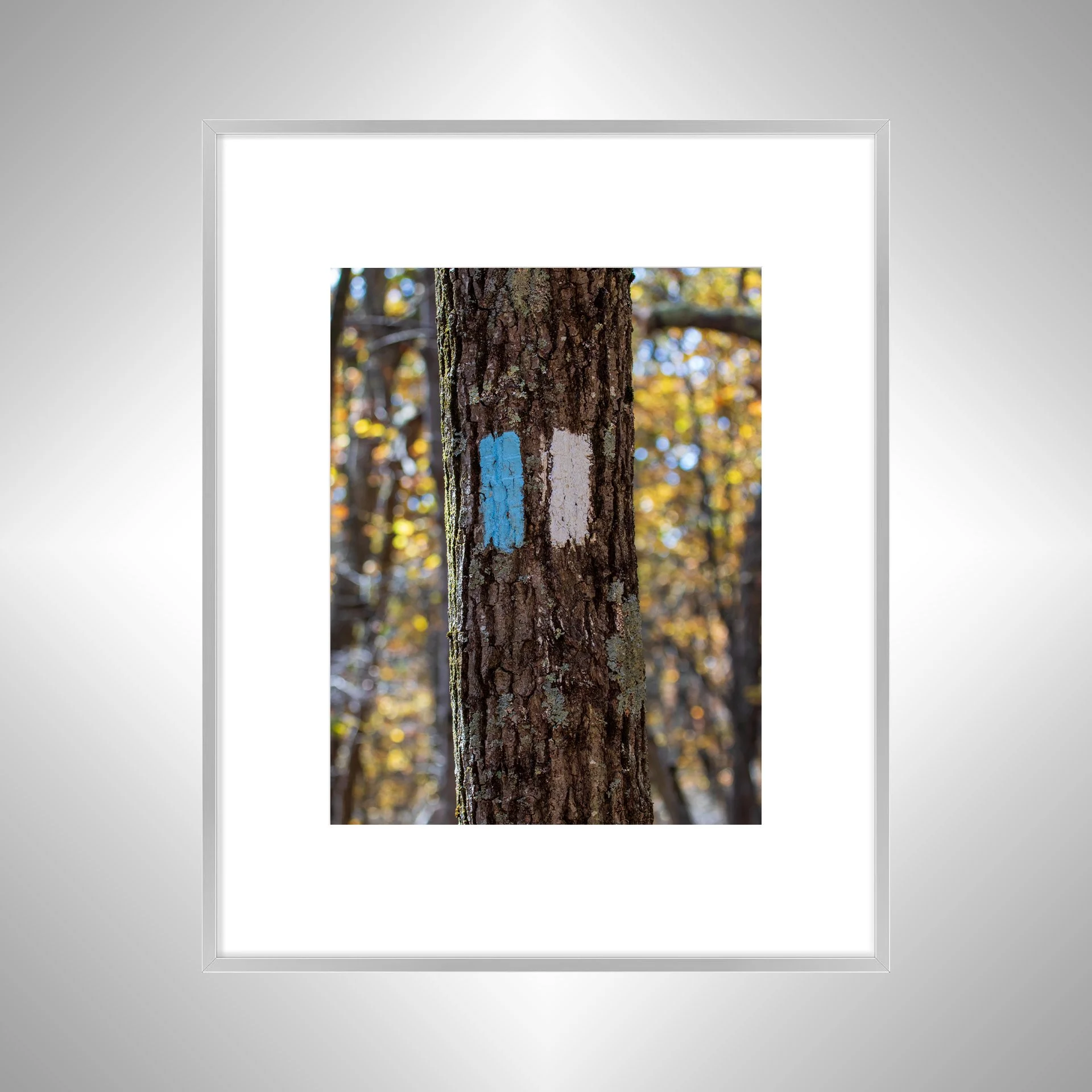 1:1 Appalachian Trail Blaze- Silver Metal w: Border.jpg