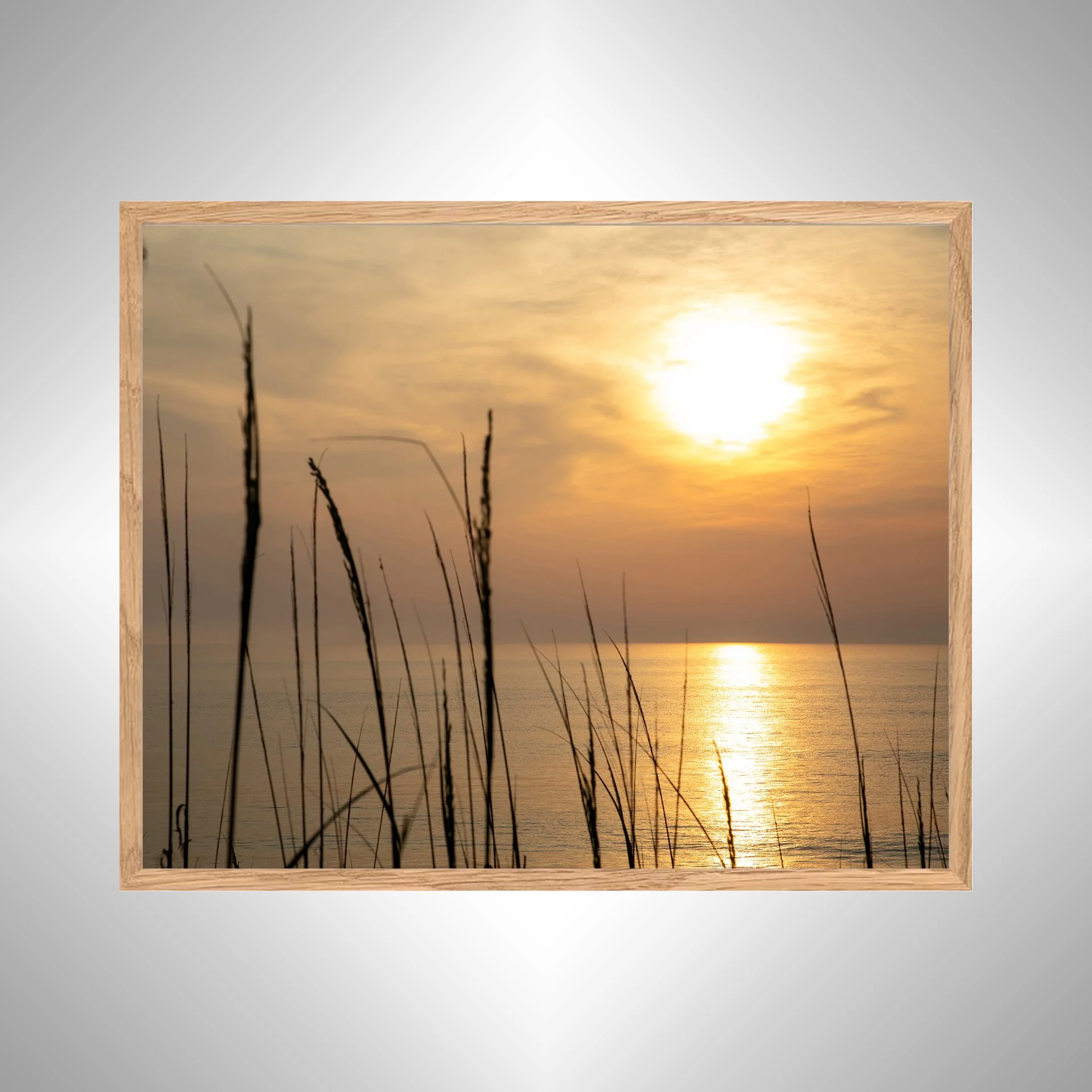 1:1 Sunrise Reflection thru Dunegrass- White copy NATTY.jpg
