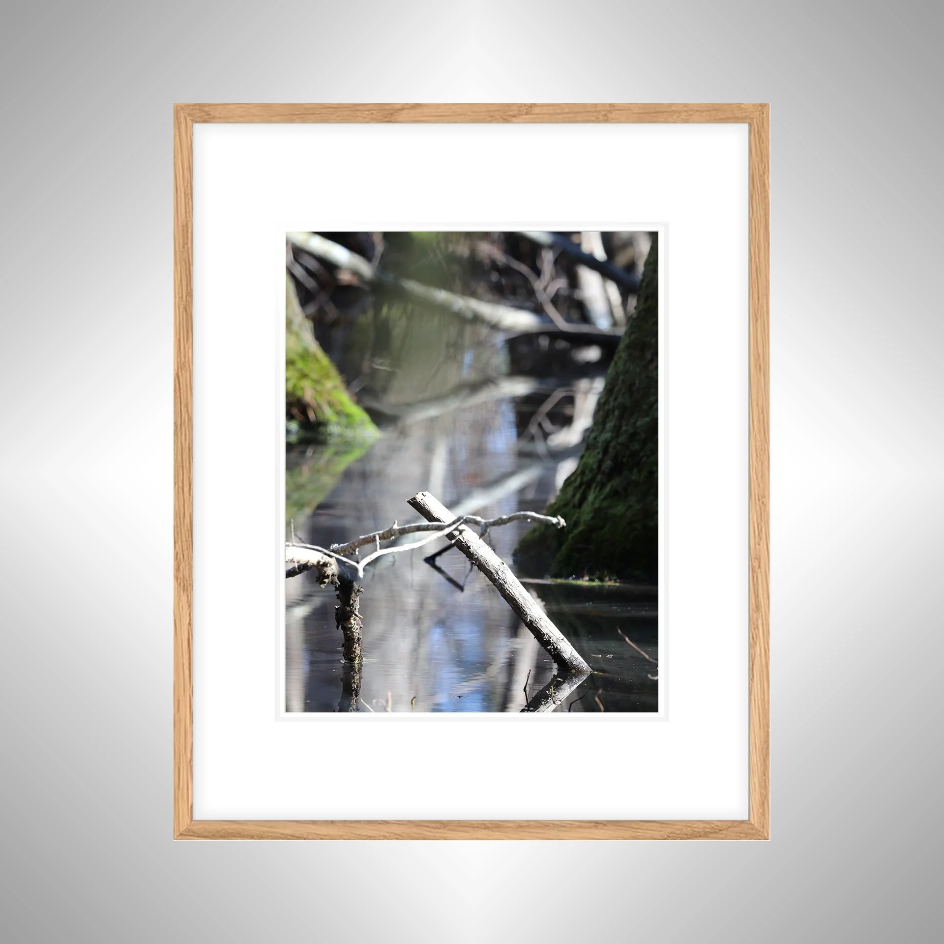 1:1 Stick Reflection in Tree Pond at Seashore State Park- White w: Border copy NATTY.jpg
