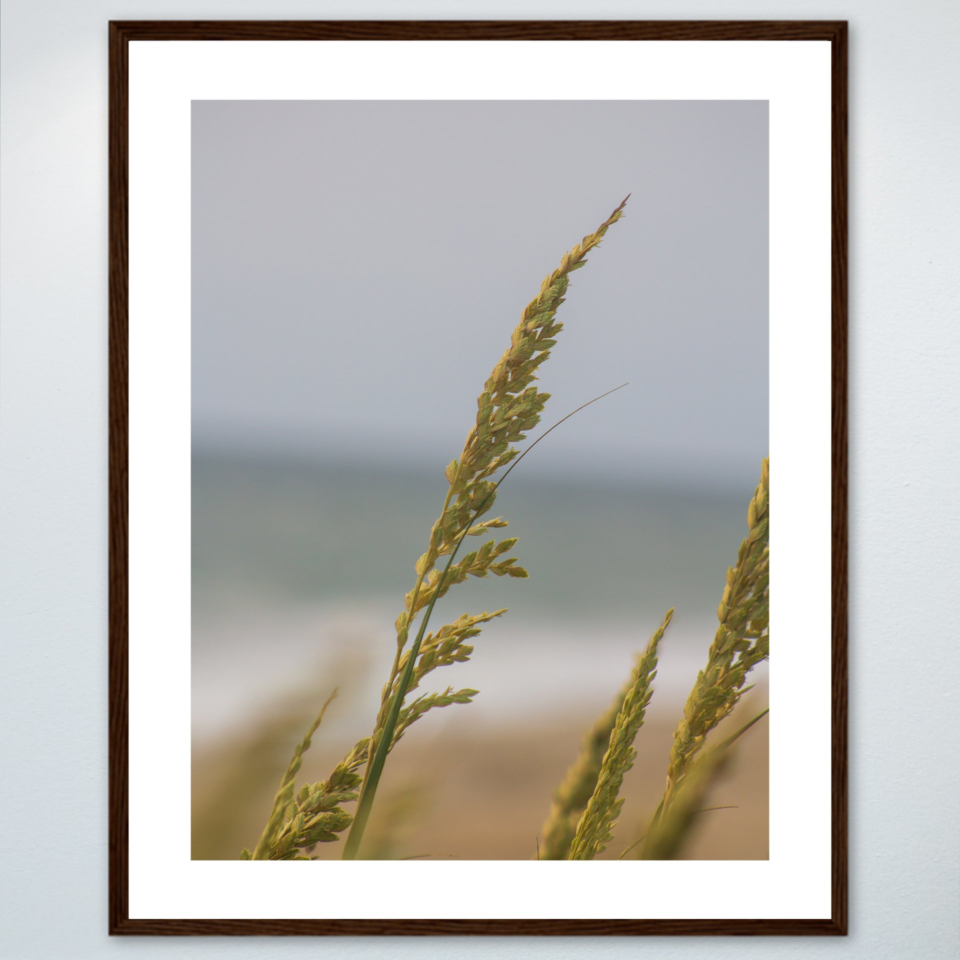 1:1 Rodanthe Dune Oats Single- Wood w: Border.jpg