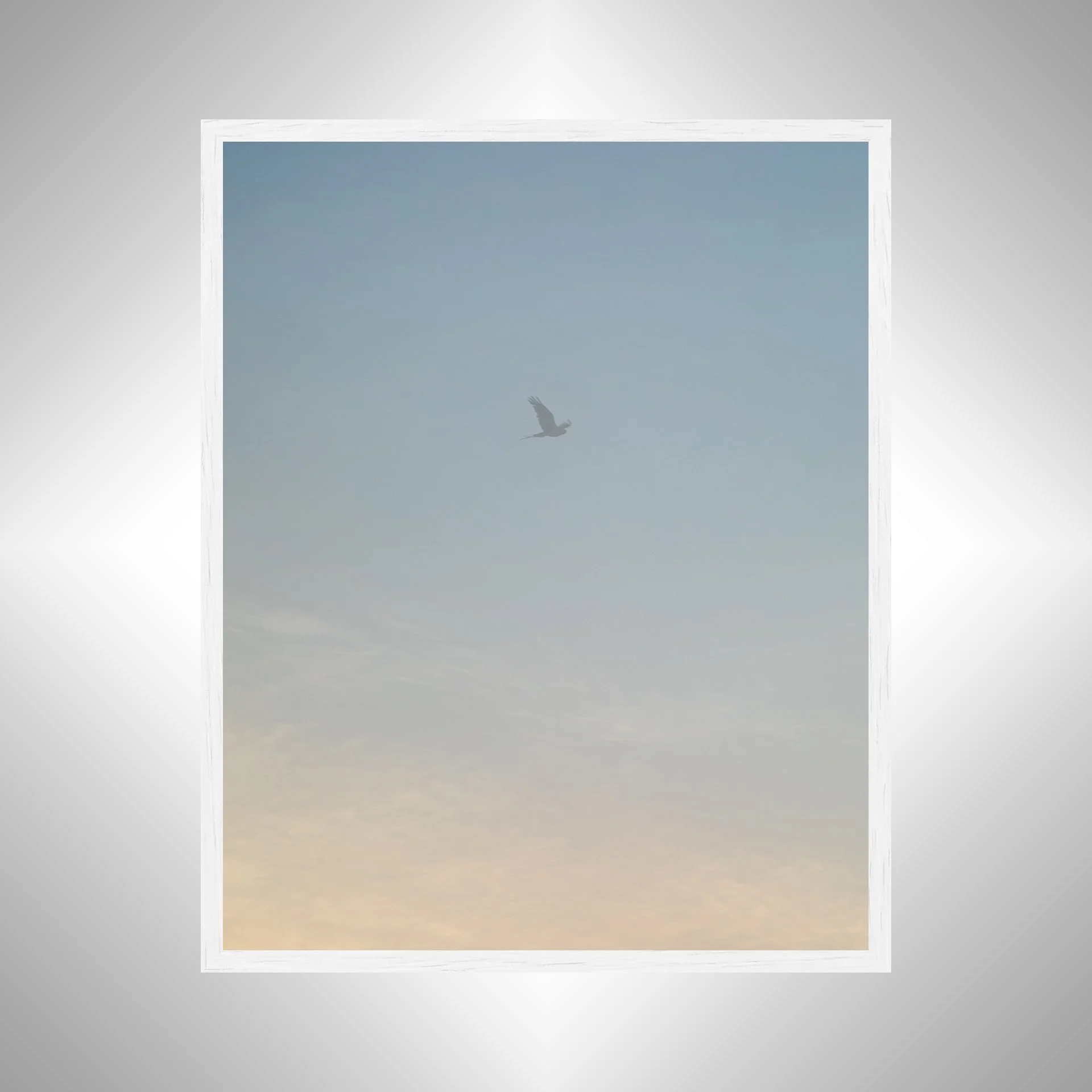 1:1 Seagull thru Fog- White.jpg
