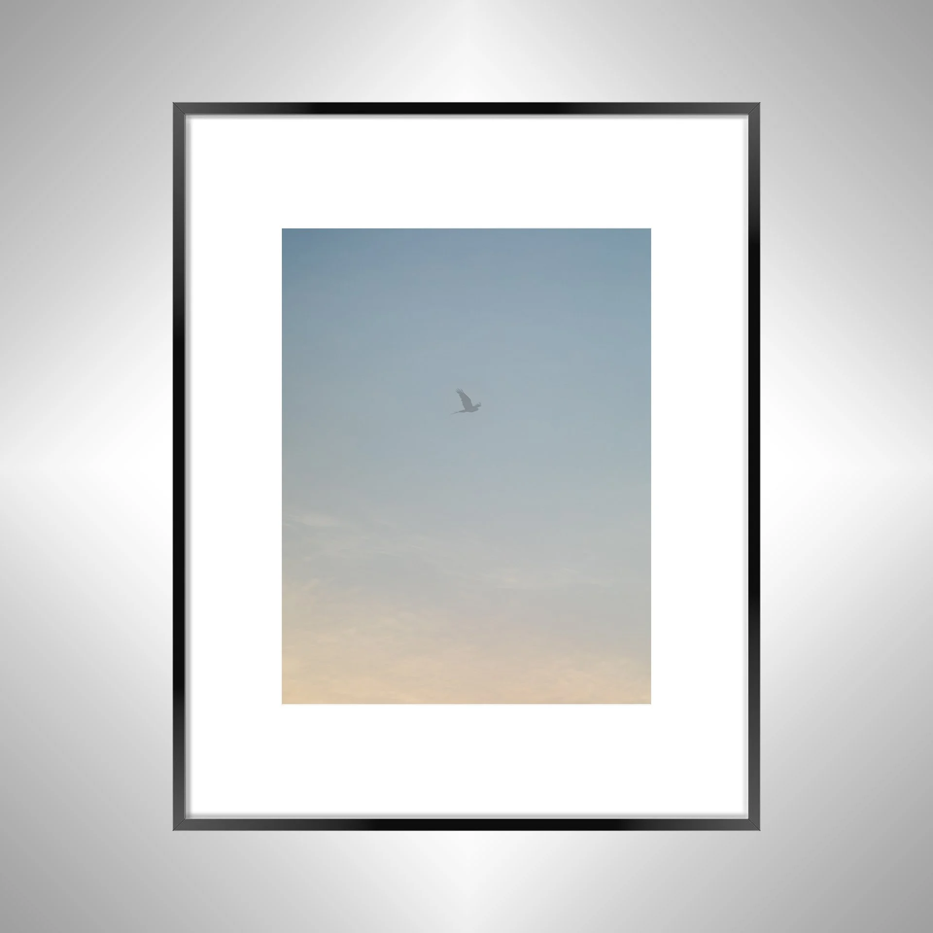 1:1 Seagull thru Fog- Black w: Border.jpg