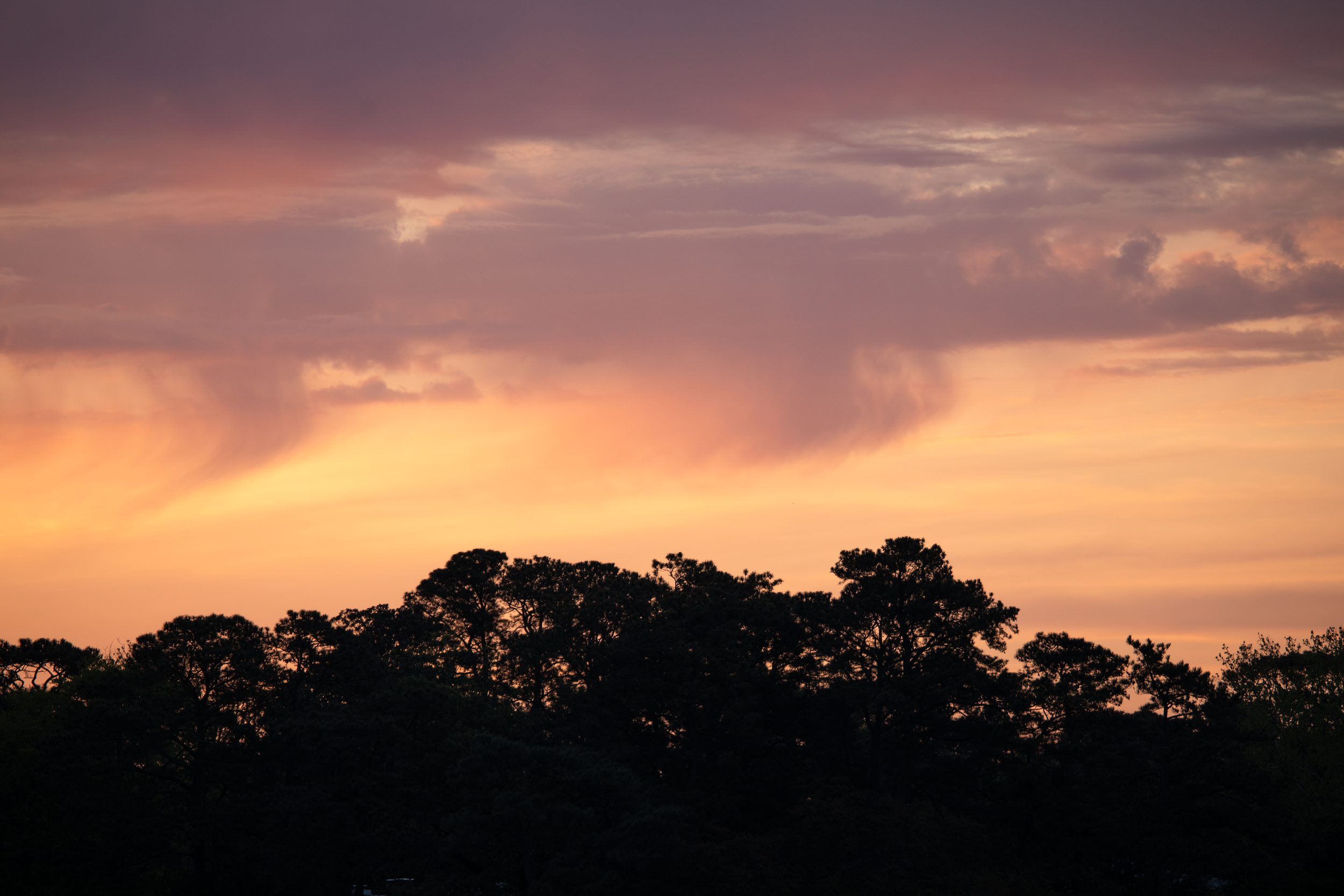 1:10 Orange & Gold Sunrise Sky Behind Trees.png