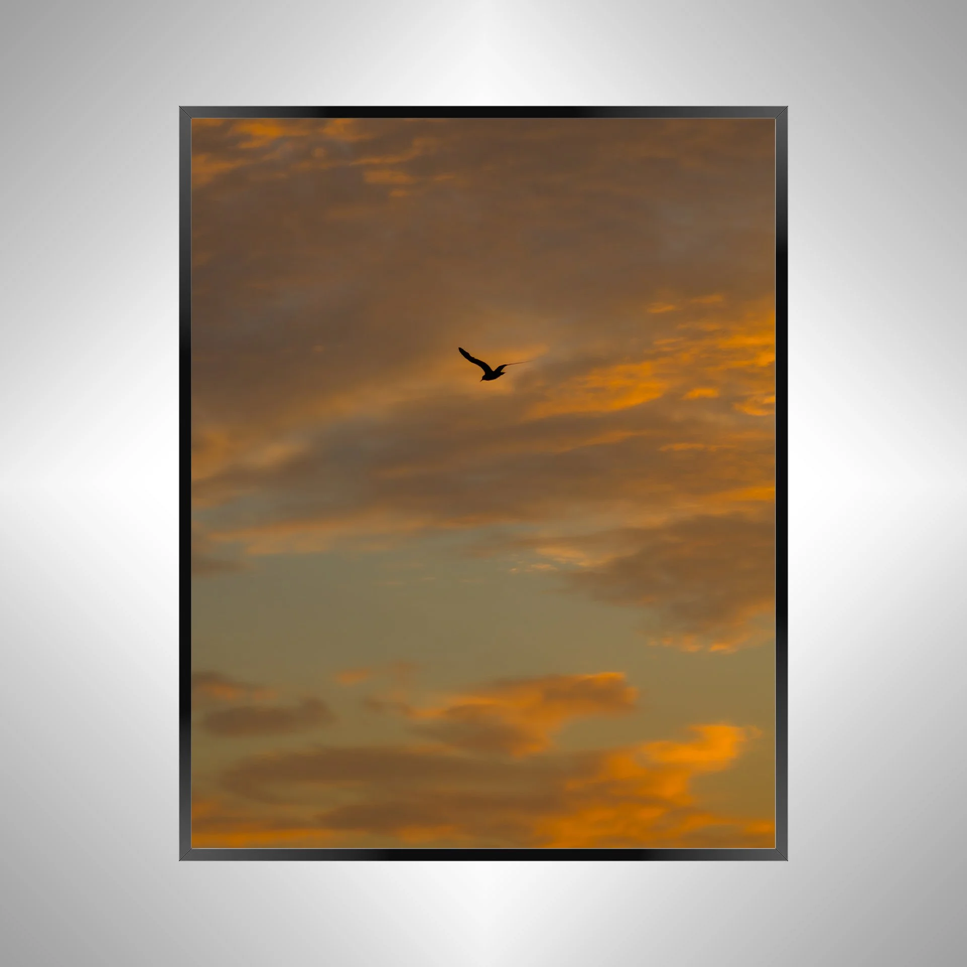 1/10 Seagull Soaring to Sunrise