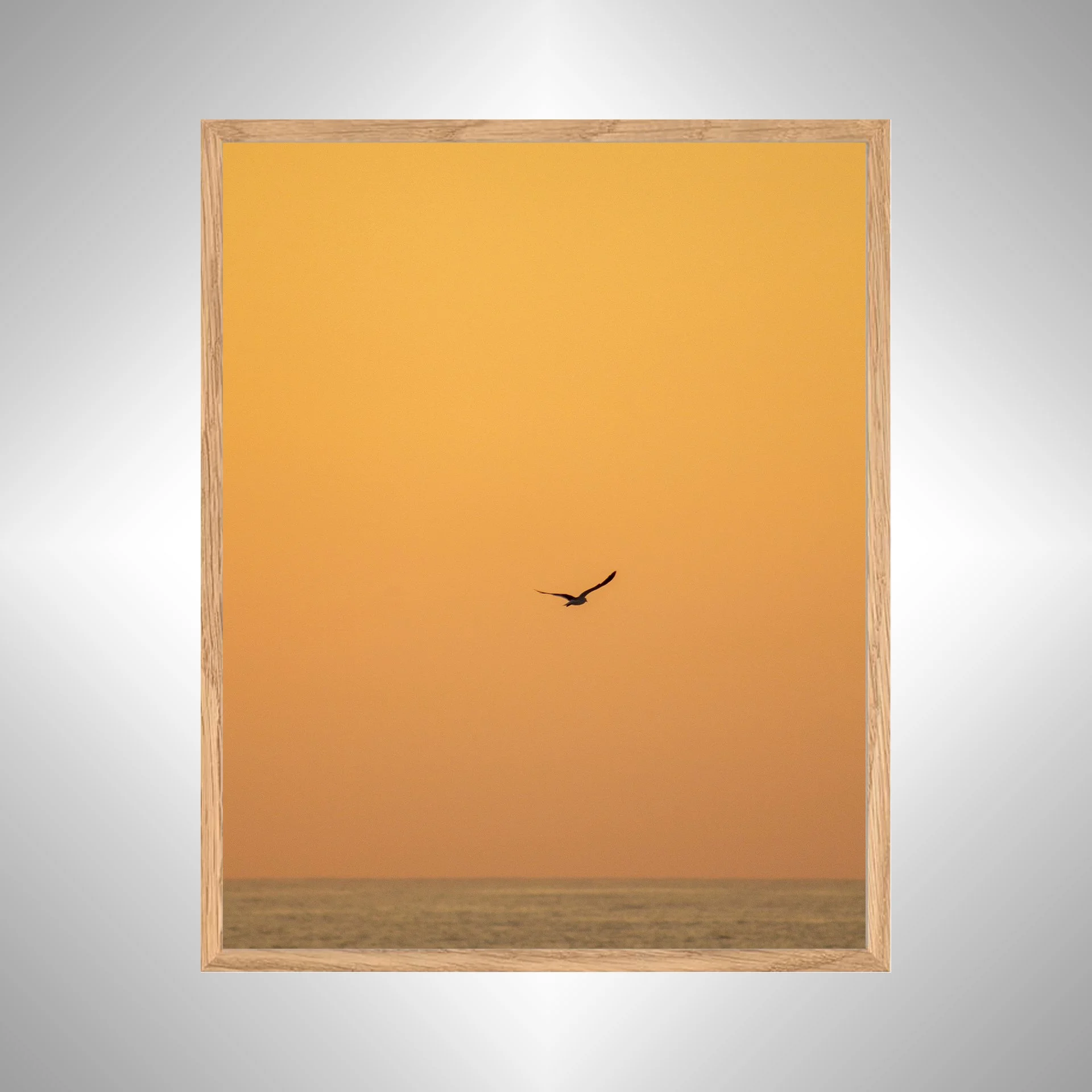 1:10 Seagull Flying on Ocean- White copy NATTY.jpg