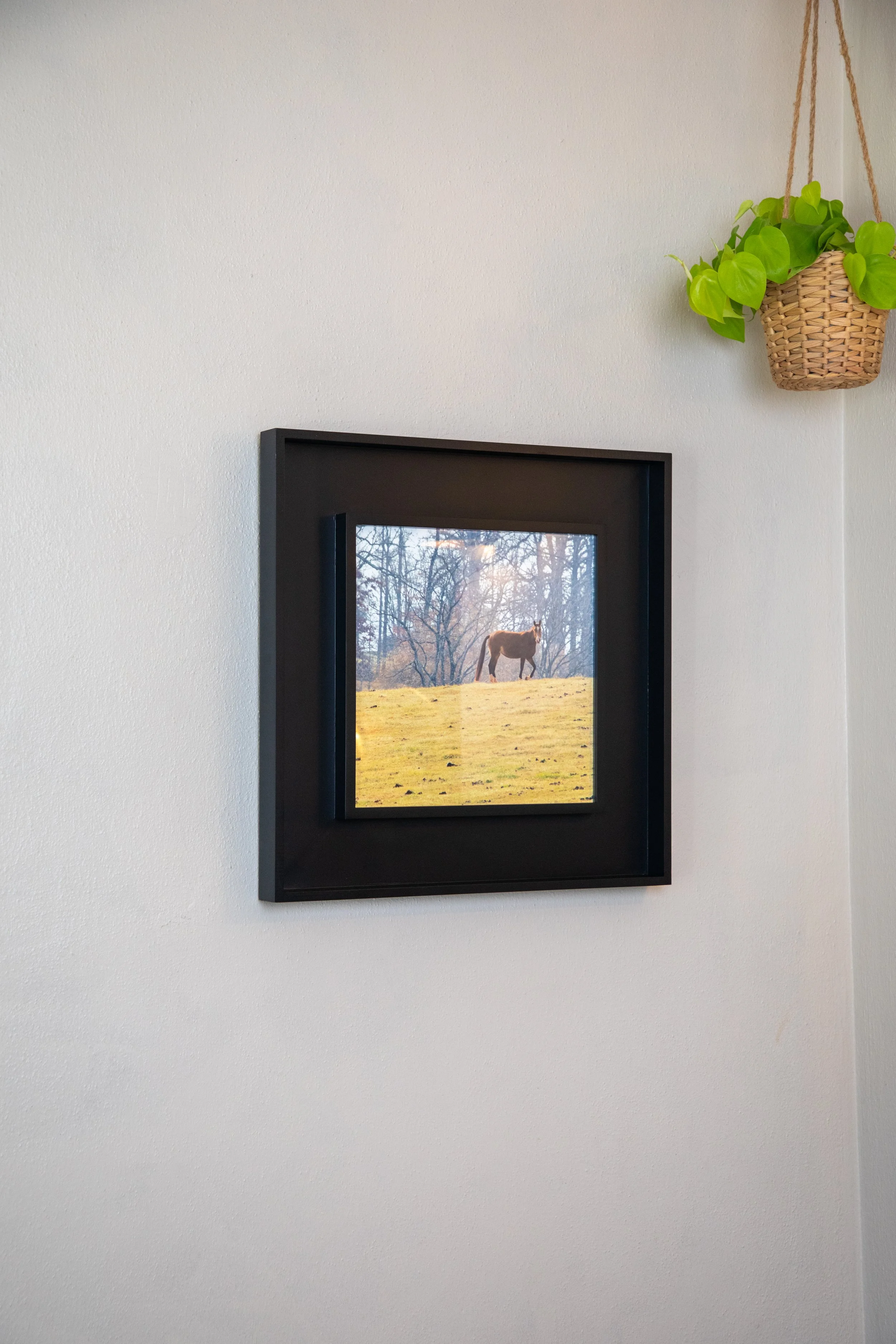 On Hand- 1:10 Shenandoah Horse in Window Wood Frame6.jpg