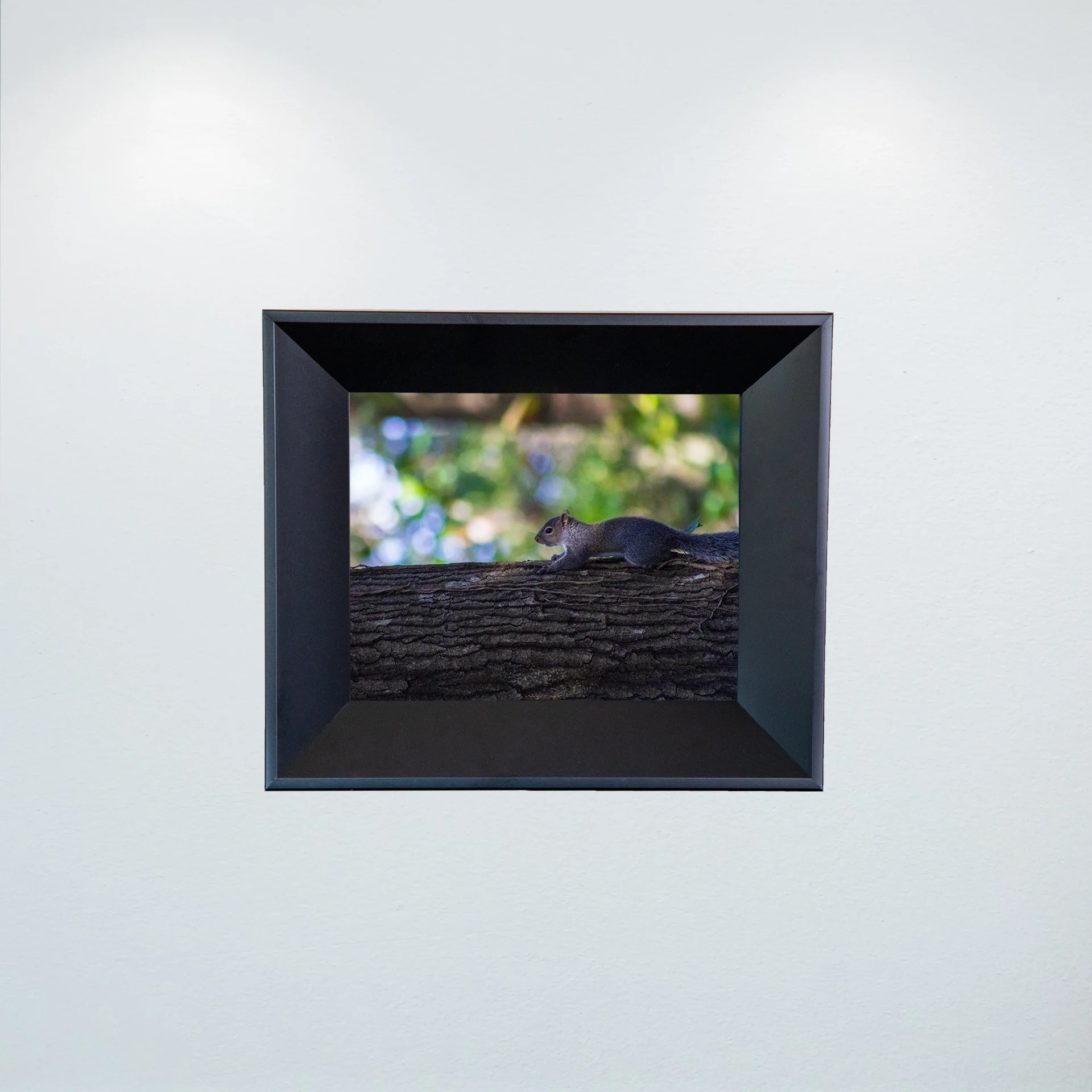 1:1 Squirrel's World- Mini.jpg